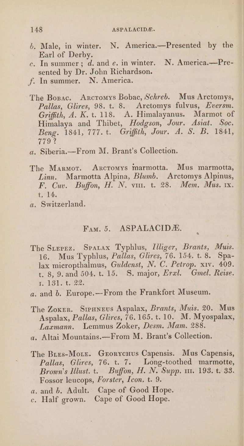 6. Male, in winter. N. America.—Presented by the. Earl of Derby. c. In summer; d. and e. in winter. N. America.—Pre- sented by Dr. John Richardson. f. In summer. N. America. The Bozac. Axrctomys Bobac, Schreb. Mus Arctomys, Pallas, Glires, 98. t. 8. Arctomys fulvus, EHversm. Griffith, A. K.t. 118. A. Himalayanus. Marmot of Himalaya and Thibet, Hodgson, Jour. Asiat. Soc. Beng. 1841, 777. t. Griffith, Jour. A. S. B. 1841, cio? a, Siberia.—From M. Brant’s Collection. The Marmot. Arctomys marmotta. Mus marmotta, Linn. Marmotta Alpina, Blumb. Arctomys Alpinus, F. Cuv. Buffon, H. N. vin. t. 28. Mem. Mus, 1x. t, 14. a. Switzerland. Fam. 5. ASPALACIDA. The Strrez., Spatax Typhlus, Jliger, Brants, Muis. 16. Mus Typhlus, Pallas, Ghres, 76. 154. t. 8. Spa- lax micropthalmus, Guldenst, N. C. Petrop. xiv. 409. t. 8, 9.and 504. t. 15. S. major, Erxl. Gmel. Reise. r, 13d. t.-22, a. and 6. Europe.—From the Frankfort Museum. The Zoxrr. Sipunevs Aspalax, Brants, Muis. 20. Mus Aspalax, Pallas, Ghres, 76. 165. t. 10. M. Myospalax, Laxmann. Lemmus Zoker, Desm. Mam. 288. a. Altai Mountains.—From M. Brant’s Collection. The Bres-Moxte. Grorycuus Capensis. Mus Capensis, Pallas, Ghres, 76. t. 7. Long-toothed marmotte, Brown's Illust. t. Buffon, H. N. Supp. m1. 193. t. 33. Fossor leucops, Forster, Icon. t. 9. a. and b. Adult. Cape of Good Hope. c. Half grown. Cape of Good Hope.