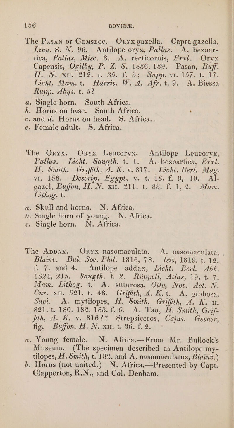 The Pasan or Gremssoc. Oryx gazella. Capra gazella, Linn. 8. N. 96. Antilope oryx, Pallas. A. bezoar- tica, Pallas, Misc. 8. A. recticornis, Hral. Oryx Capensis, Ogilby, P. Z. S. 1836, 139. Pasan, Buff. Hf. Ni 2Ie, t.4353. 0 Baap a. LOR. a7. Licht. Mam.t. Harris, W. A. Afr.t.9. A. Biessa Rupp. Abys. t, 5? . Single horn. South Africa. . Horns on base. South Africa. ‘ . and d. Horns on head. S. Africa... . Female adult. 8S. Africa. ZANE The Oryx. Oryx Leucoryx. Antilope Leucoryx, Pallas. Licht. Saugth. t. 1. A.-bezoartica, Eral. HT, Smith. Griffith, A. K. v. 817. Licht. Berl. Mag. vi. 158. «Descerip. Egypt, vy. t. 18. f. 9, 10; Al- gazel, Dufon, 11.4N. x11. 210% to 33. 1.152) sam, Lithog. t. a. Skull and horns. N. Africa. 6. Single horn of young. N. Africa. c. Single horn. WN. Africa. The Appax. Oryx nasomaculata. A. nasomaculata, Blainv. Bul. Soc. Phil. 1816, 78. Tszs, 1819. t. 12. f. 7. and 4. Antilope addax, Licht. Berl. Abh. 1824, 215. Saugth. t. 2. Riippell, Atlas, 19. t. 7. Mam. Lithog. t. A. suturosa, Otto, Nov. Act. N. Cur. xu. 521. t. 48. Griffith, A. K.t. A. gibbosa, Savi. A. mytilopes, H. Smith, Griffith, A. K. u. 821. t. 180. 182. 183. f.6. A. Tao, H. Smith, Grif- fith, A. K. v. 816%? Strepsiceros, Cajus. Gesner, fig. Buffon, A. N. xi: t. 86. f..2. a. Young female. N. Africa.—From Mr. Bullock’s Museum. (The specimen described as Antilope my- tilopes, H. Smith, t. 182. and A. nasomaculatus, Blainv.) b. Horns (not united.) N. Africa.—Presented by Capt. Clapperton, R.N., and Col. Denham.