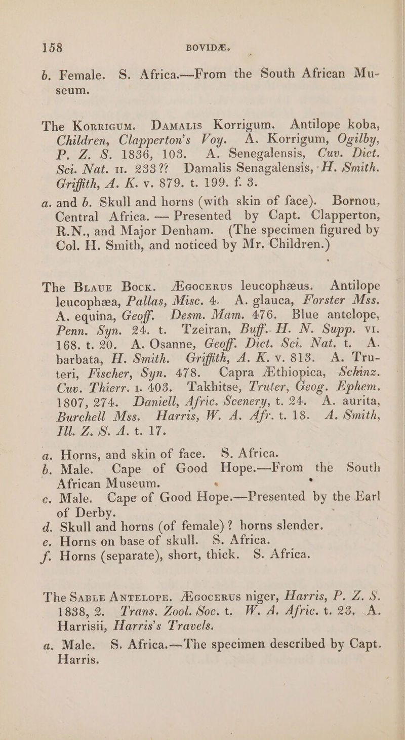 b. Female. S. Africaa—From the South African Mu- seum. The Korrigum. Damauis Korrigum. Antilope koba, Children, Clapperton’s Voy. A. Korrigum, Ogilby, P. Z. S. 1836, 103. A. Senegalensis, Cuv. Dict. Sci. Nat. u. 2332? Damalis Senagalensis,:H. Smith. Griffith, A. K. v. 879. t. 199. f. 3. a. and 6. Skull and horns (with skin of face). Bornou, Central Africa. — Presented by Capt. Clapperton, R.N., and Major Denham. (The specimen figured by Col. H. Smith, and noticed by Mr. Children.) The Brave Bocx. Aicocrrus leucopheus. Antilope leucopheea, Pallas, Misc. 4. A. glauca, Forster Mss. A. equina, Geoff. Desm. Mam. 476. Blue antelope, Penn. Syn. 24. t. Tzeiran, Buff. H. N. Supp. v1. 168. t. 20. A. Osanne, Geoff. Dict. Sci. Nat. t. A. barbata, H. Smith. Griffith, A. K. v. 818. A. Tru- teri, Fischer, Syn. 478. Capra Aithiopica, Schinz. Cuv. Thierr. 1. 408. Takhitse, Truter, Geog. Ephem. 1807, 274. Daniell, Afric. Scenery, t. 24. A. aurita, Burchell Mss. Harris, W. A. Afr. t. 18. A. Smith, Tl. Z. S. A. t. 17. a. Horns, and skin of face. 5S. Africa. b. Male. Cape of Good Hope.—From the South African Museum. &lt; . c. Male. Cape of Good Hope.—Presented by the Karl of Derby. ' d. Skull and horns (of female)? horns slender. e. Horns on base of skull. S$. Africa. f. Horns (separate), short, thick. 58. Africa. The Sante AntEeLore. Aicocerus niger, Harris, P. Z. 8. 1888,:2. . Trans. Zool.Soc. t,..W. A. Afric. to. 23,..A. Harrisii, Harris's Travels. a. Male. S. Africa.—The specimen described by Capt. Harris.