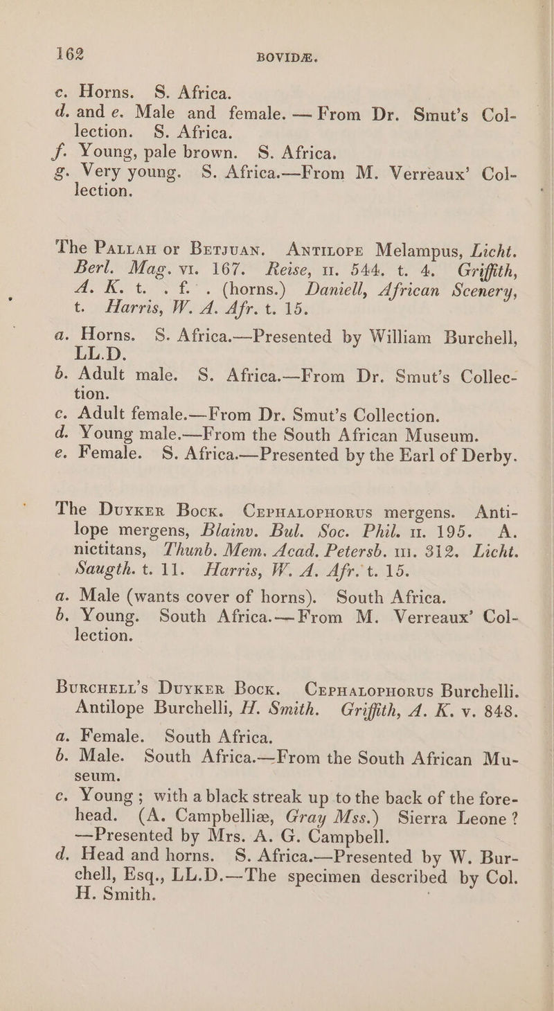 ec. Horns. S. Africa. d. and e. Male and female. —From Dr. Smut’s Col- lection. §. Africa. Ff. Young, pale brown. S. Africa. g. Very young. S. Africa.—From M. Verreaux’ Col- lection. The Patran or Bersuan. Antitore Melampus, Licht. Berl. Mag. vi. 167. Reise, u. 544. t. 4, Griffith, A. K. t. . f.. (horns.) Daniell, African Scenery, t.. Marris, Wed. Afret: Vs a. Horns. S. Africa—Presented by William Burchell, LL.D. 6. Adult male. S. Africa—From Dr. Smut’s Collec- tion. ce. Adult female.—From Dr. Smut’s Collection. d. Young male.—From the South African Museum. e. Female. S. Africa.—Presented by the Earl of Derby. The Duyxer Bocx. Crpnatopnorus mergens. Anti- lope mergens, Blainv. Bul. Soc. Phil. u. 195. A. nictitans, Thunb. Mem. Acad. Petersb. ui. 312. Licht. Saugth.t.11. Harris, W. A, Afr. t. 15. a. Male (wants cover of horns). South Africa. 6. Young. South Africa.—From M. Verreaux’ Col- lection. BurcHeLt’s Duyxer Bocx. CrpnHatornorus Burchelli. Antilope Burchelli, H. Smith. Griffith, A. K. v. 848. a. Female. South Africa. 6. Male. South Africa.—From the South African Mu- seum. ce. Young; with a black streak up to the back of the fore- head. (A. Campbellia, Gray Mss.) Sierra Leone ? —Presented by Mrs. A. G. Campbell. d. Head and horns. S. Africa.—Presented by W. Bur- chell, Esq., LL.D.—The specimen described by Col. H. Smith.