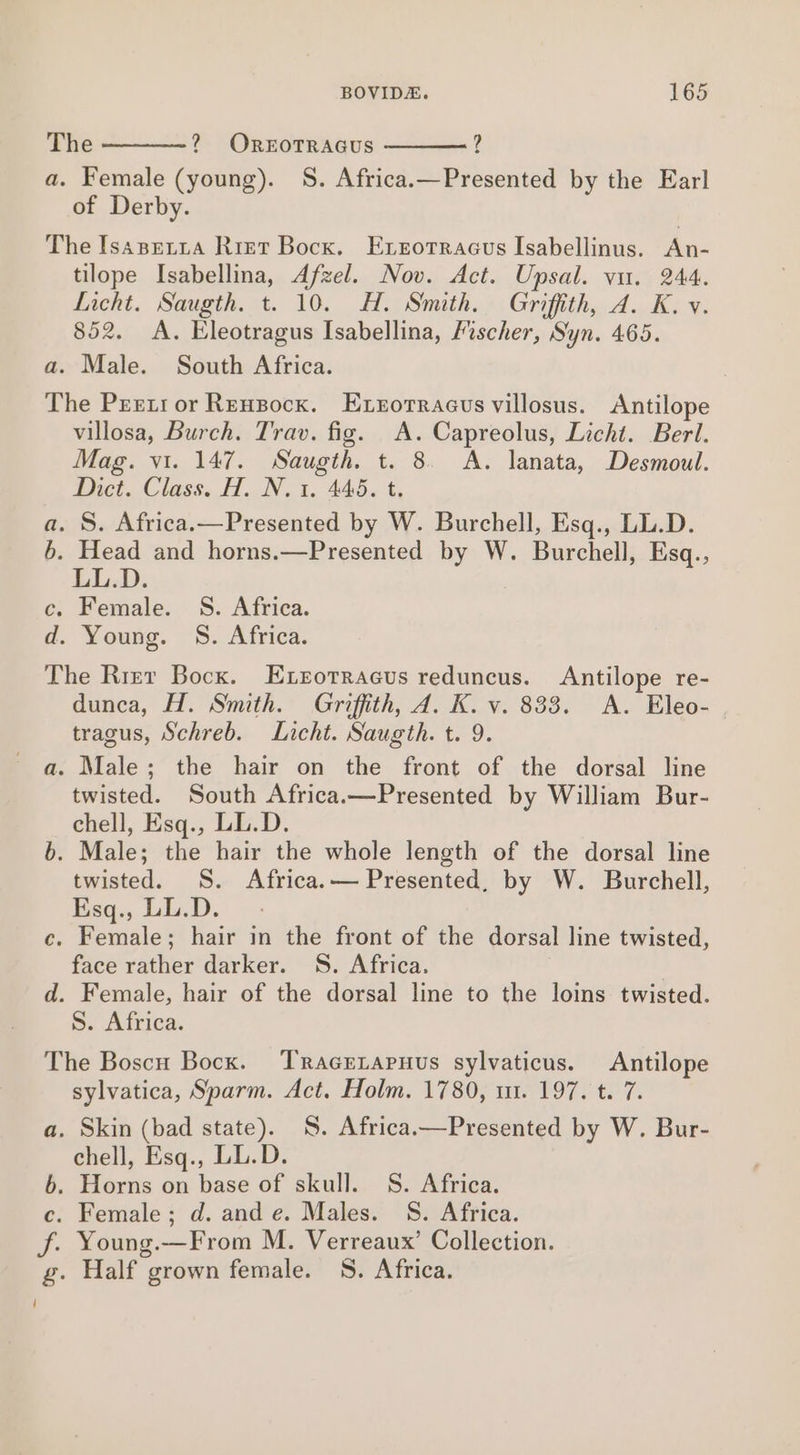 ? The 2? OREOTRAGUS a. Female (young). S. Africa.—Presented by the Earl of Derby. The Isasertta Rret Bocx. Exrotracus Isabellinus. An- tilope Isabellina, Afzel. Nov. Act. Upsal. vir. 244. Licht. Saugth. t. 10. H. Smith. Griffith, A. K. v. 852. &lt;A. Eleotragus Isabellina, /ischer, Syn. 465. a. Male. South Africa. The Preeti or Rensocx. Exrtortracus villosus. Antilope villosa, Burch. Trav. fig. A. Capreolus, Licht. Berl. Mag. vi. 147. Saugth. t. 8. &lt;A. lanata, Desmoul. Dict. Class. HA, N.1, 440. ¢, a. S. Africa.—Presented by W. Burchell, Esq., LL.D. 6. Head and horns.—Presented by W. Burchell, Esq., LL.D. c. Female. S. Africa. d. Young. S. Africa. The Rizr Bock. Exsorraecus reduncus. Antilope re- dunca, H. Smith. Griffith, 4. K. v. 833. A. Eleo- tragus, Schreb. Licht. Saugth. t. 9. a. Male; the hair on the front of the dorsal line twisted. South Africa.—Presented by William Bur- chell, Esq., LL.D. b. Male; the hair the whole length of the dorsal line twisted. S. Africa.— Presented, by W. Burchell, Esq., LL.D. c. Female; hair in the front of the dorsal line twisted, face rather darker. S. Africa. | d. Female, hair of the dorsal line to the loins twisted. S. Africa. The Boscu Bocx. ‘Tracretapnus sylvaticus. Antilope sylvatica, Sparm. Act. Holm. 1780, 11. 197. t. 7. a. Skin (bad state). S. Africa—Presented by W. Bur- chell, Esq., LL.D. 6. Horns on base of skull. S. Africa. c. Female; d. and e. Males. S. Africa. f. Young.—From M. Verreaux’ Collection. g. Half grown female. 5S. Africa.