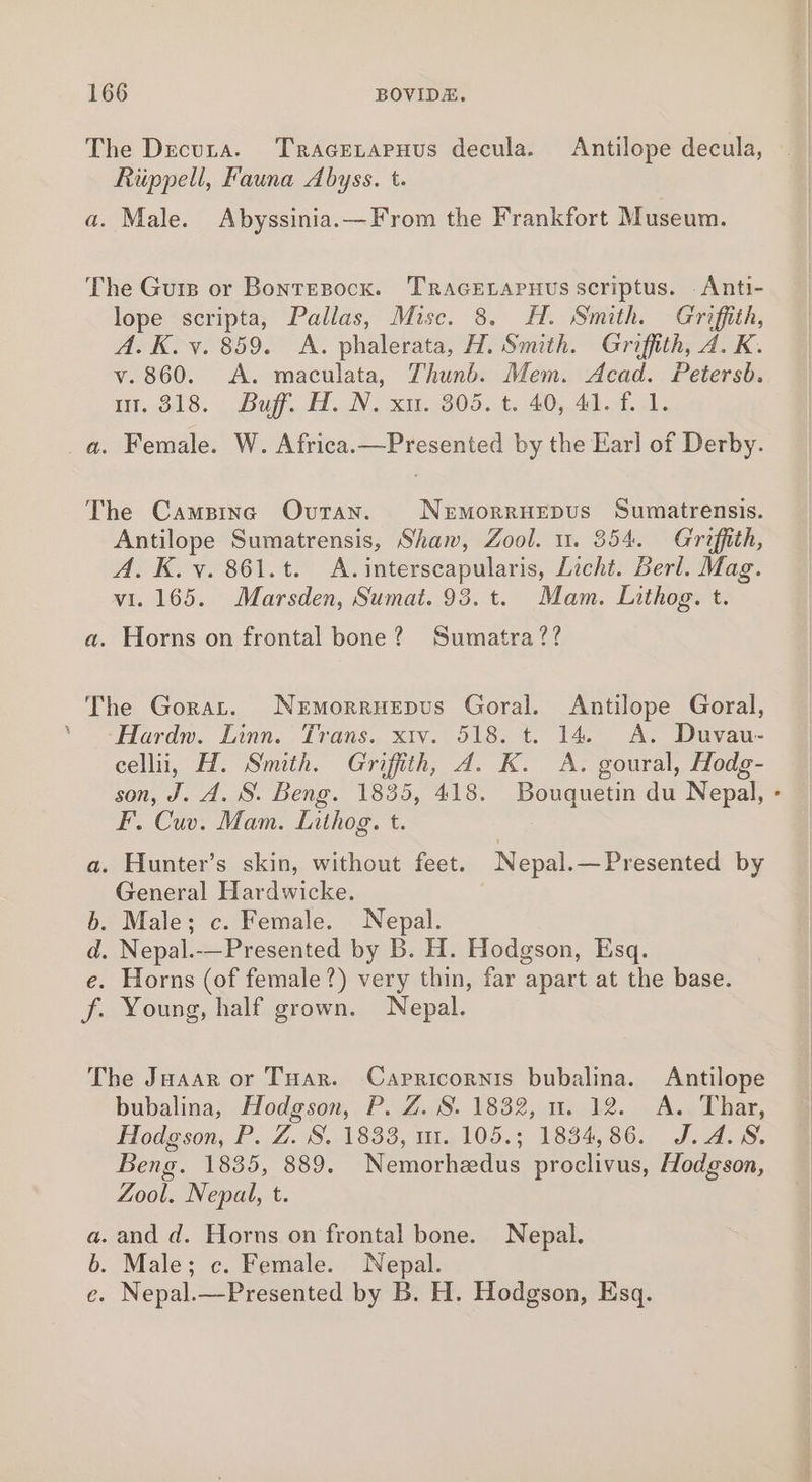 The Decuta. Tracetapuus decula. Antilope decula, Riippell, Fauna Abyss. t. a. Male. Abyssinia.—From the Frankfort Museum. The Guis or Bontezocx. Traceraruus scriptus. _Anti- lope scripta, Pallas, Mise. 8. H. Smith. Griffith, A. K. v. 859. A. phalerata, H. Smith. Griffith, A. K. v. 860. A. maculata, Thunb. Mem. Acad. Petersb. m1, 318. - Buff. 1. _N. xi..305..t. 40,.41.1, 1. a. Female. W. Africa.—Presented by the Earl of Derby. The Campine OvraAN. NEMoRRHEDUS Sumatrensis. Antilope Sumatrensis, Shaw, Zool. u. 354. Griffith, A. K. v. 861.t. A.interscapularis, Licht. Berl. Mag. vi. 165. Marsden, Sumat. 93. t. Mam. Lithog. t. a. Horns on frontal bone? Sumatra?? The Gorat. NemorruEepus Goral. Antilope Goral, ‘Hardw. Linn. Trans. xtv. 518. t. 14. A. Duvau- cellii, H. Smith. Griffith, A. K. &lt;A. goural, Hodg- son, J. A. S. Beng. 1835, 418. Bouquetin du Nepal, - F. Cuv. Mam. Lnthog. t. a. Hunter’s skin, without feet. Nepal.—Presented by General Hardwicke. b. Male; c. Female. Nepal. d. Nepal.-—Presented by B. H. Hodgson, Esq. e. Horns (of female?) very thin, far apart at the base. f. Young, half grown. Nepal. The Juaar or Tuar. Capricornis bubalina. Antilope bubalina, Hodgson, P. Z. S. 1832, mu. 12. A. Thar, Hodgson, P. Z. S. 1833, m1. 105.; 1834,86. J.A.S8. Beng. 1835, 889. Nemorhedus proclivus, Hodgson, Zool. Nepal, t. . and d. Horns on frontal bone. Nepal. . Male; c. Female. Nepal. ce. Nepal.—Presented by B. H. Hodgson, Esq. HR