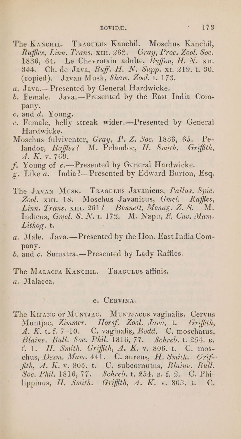 The Kancuitz. Tracurus Kanchil. Moschus Kanchil, Raffles, Linn. Trans. x11. 262. Gray, Proc. Zool. Soc. 1836, 64. Le Chevrotain adulte, Buffon, H. N. xu. 344. Ch. de Java, Buff. H. N. Supp. x1. 219. t. 30. (copied). Javan Musk, Shaw, Zool. t. 173. . Java.— Presented by General Hardwicke. . Female. Java.—Presented by the East India Com- pany. ce. and d. Young. e. Female, belly streak wider.—Presented by General Hardwicke. Moschus fulviventer, Gray, P. Z. Soc. 1836, 65. Pe- landoc, Raffles?’ M. Pelandoc, H. Smith. Griffith, ee Bey Vs (09. f. Young of e.—Presented by General Hardwicke. g. Like a. India?—Presented by Edward Burton, Esq. oS The Javan Musk. Tracutus Javanicus, Pallas, Spic. Zool. xi. 18. Moschus Javanicus, Gmel. Raffles, Linn. Trans. xu. 261? Bennett, Menag. Z.S. M. Indicus, Gmel. 8S. N.1. 172. M. Napu, &amp;. Cuv. Mam. Lithog. t. a. Male. Java.—Presented by the Hon. East India Com- pany. 6. and c. Sumatra.—Presented by Lady Raffles. The Matacca Kancuit. Tracutuvs affinis. a. Malacca. e. CERVINA. The Kisane or Muntsac. Munrvacus vaginalis. Cervus Muntjac, Zimmer. Horsf. Zool. Java, t. Griffith, A. K.t.f. 7-10. C. vaginalis, Bodd. C. moschatus, Blainv. Bull. Soc. Phil. 1816, 77. Schreb. t. 254. 3. f. 1. A. Smith. Grofith, A. Kicy 806. t.. -C. mos- chus, Desm. Mam. 441. C. aureus, H. Smith. Grif- fith, A. K. vy. 805. t. C. subcornutus, Blainv. Bull. Sec) Pinl. 1816, 772... Schrébsts264. 3.1. 2..2CAPiie lippinus, Hl. Smith. Griffith, A. K. vo 808.Am% C,