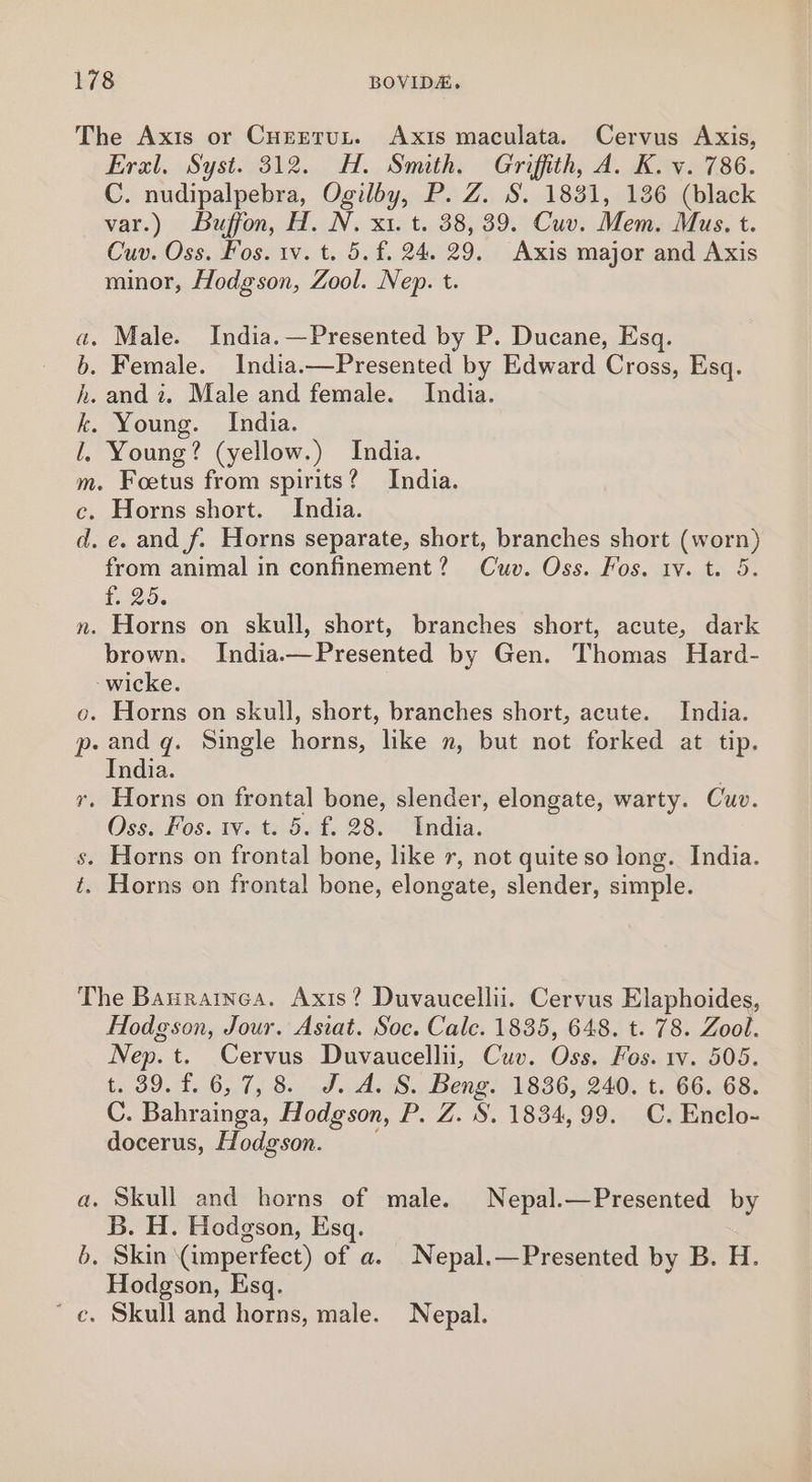 The Axis or Curntun. Axis maculata. Cervus Axis, Eral. Syst. 312. H. Smith. Griffith, A. K. v. 786. C. nudipalpebra, Ogilby, P. Z. S. 1831, 136 (black var.) Buffon, H. N. x1. t. 38, 39. Cuv. Mem. Mus. t. Cuv. Oss. Fos. iv. t. 5. f. 24. 29. Axis major and Axis minor, Hodgson, Zool. Nep. t. . Male. India.—Presented by P. Ducane, Esq. . Female. India.—Presented by Edward Cross, Esq. . andi. Male and female. India. Young. India. Young? (yellow.) India. . Foetus from spirits? India. . Horns short. India. .e. and f. Horns separate, short, branches short (worn) from animal in confinement? Cuv. Oss. Fos. iv. t. 5. Tes n. Horns on skull, short, branches short, acute, dark brown. India.—Presented by Gen. Thomas Hard- -wicke. o. Horns on skull, short, branches short, acute. India. p. and q. Single horns, like n, but not forked at tip. India. 7. Horns on frontal bone, slender, elongate, warty. Cuv. Oss. Fos. tv. t. 5. f. 28. India. s. Horns on frontal bone, like r, not quite so long. India. t. Horns on frontal bone, elongate, slender, simple. Be srrrora The Banrainea. Axis? Duvaucellii. Cervus Elaphoides, Hodgson, Jour. Asiat. Soc. Calc. 1835, 648. t. 78. Zool. Nep. t. Cervus Duvaucellii, Cuv. Oss. Fos. 1v. 505. t. 39. f.'6;.7, 8.-.d..A. 3S... Beng! 1836; 240.. t.. 66..68. C. Bahrainga, Hodgson, P. Z. S. 1834, 99. C.Enclo- docerus, Hodgson. a. Skull and horns of male. Nepal.—Presented by B. H. Hodgson, Esq. 6. Skin (imperfect) of a. Nepal.—Presented by B. H. Hodgson, Esq. * ec. Skull and horns, male. Nepal.