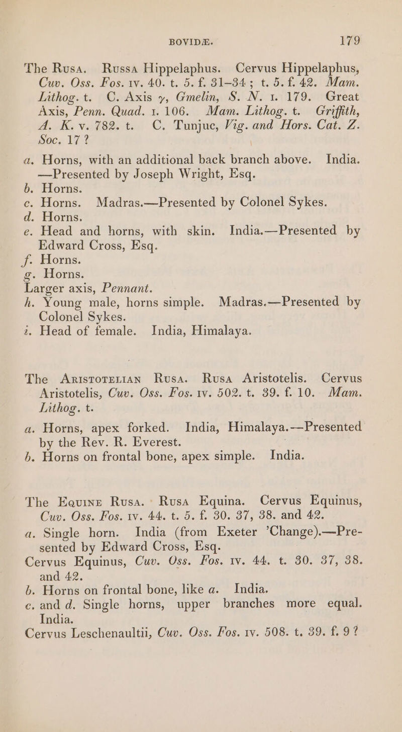 The Rusa. Russa Hippelaphus. Cervus Hippelaphus, Cuv. Oss. Fos. iv. 40. t. 5. f. 81-384; t. 5. £42. Mam. Lithog. t. C. Axis y, Gmelin, S. N. 1. 179. Great Axis, Penn. Quad. 1.106. Mam. Lithog. t. Griffith, AK. vo¥82. t.. C, Tunjue Vig. and \fors. Cato Z: Soc. 17? a. Horns, with an additional back branch above. India. —Presented by Joseph Wright, Esq. b. Horns. c. Horns. Madras.—Presented by Colonel Sykes. d. Horns. e. Head and horns, with skin. India.—Presented by Edward Cross, Esq. f. Horns. g. Horns. Larger axis, Pennant. h. Young male, horns simple. Madras.—Presented by Colonel Sykes. 2. Head of female. India, Himalaya. The ARriIsToTELIAN Rusa. Rusa Aristotelis. Cervus Aristotelis, Cuv. Oss. Fos. 1v. 502. t. 39. f. 10. Mam. Lithog. t. a. Horns, apex forked. India, Himalaya.-——Presented by the Rev. R. Everest. | b. Horns on frontal bone, apex simple. India. The Eeuine Rusa. Rusa Equina. Cervus Equinus, Cuv. Oss. Fos. tv. 44. t. 5. f. 30. 37, 38. and 42. a. Single horn. India (from Exeter ’Change).—Pre- sented by Edward Cross, Esq. Cervus Equinus, Cuv. Oss. Fos. tv. 44, t. 30. 37, 38. and 42. 6. Horns on frontal bone, like a. India. c. and d. Single horns, upper branches more equal. India. Cervus Leschenaultii, Cuv. Oss. Fos. 1v. 508. t. 39. £. 9?