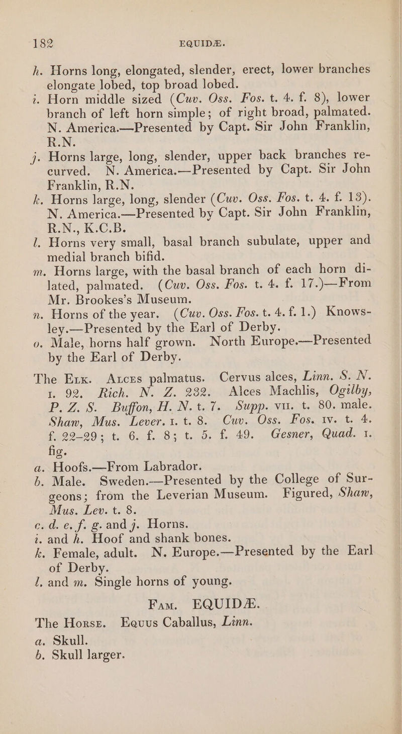 h. Horns long, elongated, slender, erect, lower branches elongate lobed, top broad lobed. i. Horn middle sized (Cuv. Oss. Fos. t. 4. f. 8), lower branch of left horn simple; of right broad, palmated. 'N. America.—Presented by Capt. Sir John Franklin, R.N. j. Horns large, long, slender, upper back branches re- curved. N. America.—Presented by Capt. Sir John Franklin, R.N. k. Horns large, long, slender (Cuv. Oss. Fos. t. 4. f. 13). N. America.—Presented by Capt. Sir John Franklin, R.N., K.C.B. 1. Horns very small, basal branch subulate, upper and medial branch bifid. m. Horns large, with the basal branch of each horn di- lated, palmated. (Cuv. Oss. Fos. t. 4. f. 17.)—From Mr. Brookes’s Museum. n. Horns of the year. (Cuv. Oss. Fos. t.4.f.1.) Knows- ley.—Presented by the Earl of Derby. o. Male, horns half grown. North Europe.—Presented by the Earl of Derby. The Exx. Aces palmatus. Cervus alces, Linn. S. NV. 1. 92. Rich. N. Z. 232. Alces Machlis, Ogzlby, P.Z. 8. Buffon, H. N.t.7. Supp. vi. t. 80. male. Shaw, Mus. Lever. t.t. 8. Cuv. Oss. Fos. tv. t. 4. f, 22-29; t. 6. f. 8; t. 5, f. 49. Gesner, Quad. 1. fig. . Hoofs.—From Labrador. . Male. Sweden.—Presented by the College of Sur- geons; from the Leverian Museum. Figured, Shan, Mus. Lev. t. 8. QV k c. d.e. f. g. and 7. Horns. 2. and h. Hoof and shank bones. k. Female, adult. N. Europe.—Presented by the Earl of Derby. 1, and m. Single horns of young. Fam. EQUID#. The Horse. Eeuus Caballus, Linn. a. Skull. 5. Skull larger.
