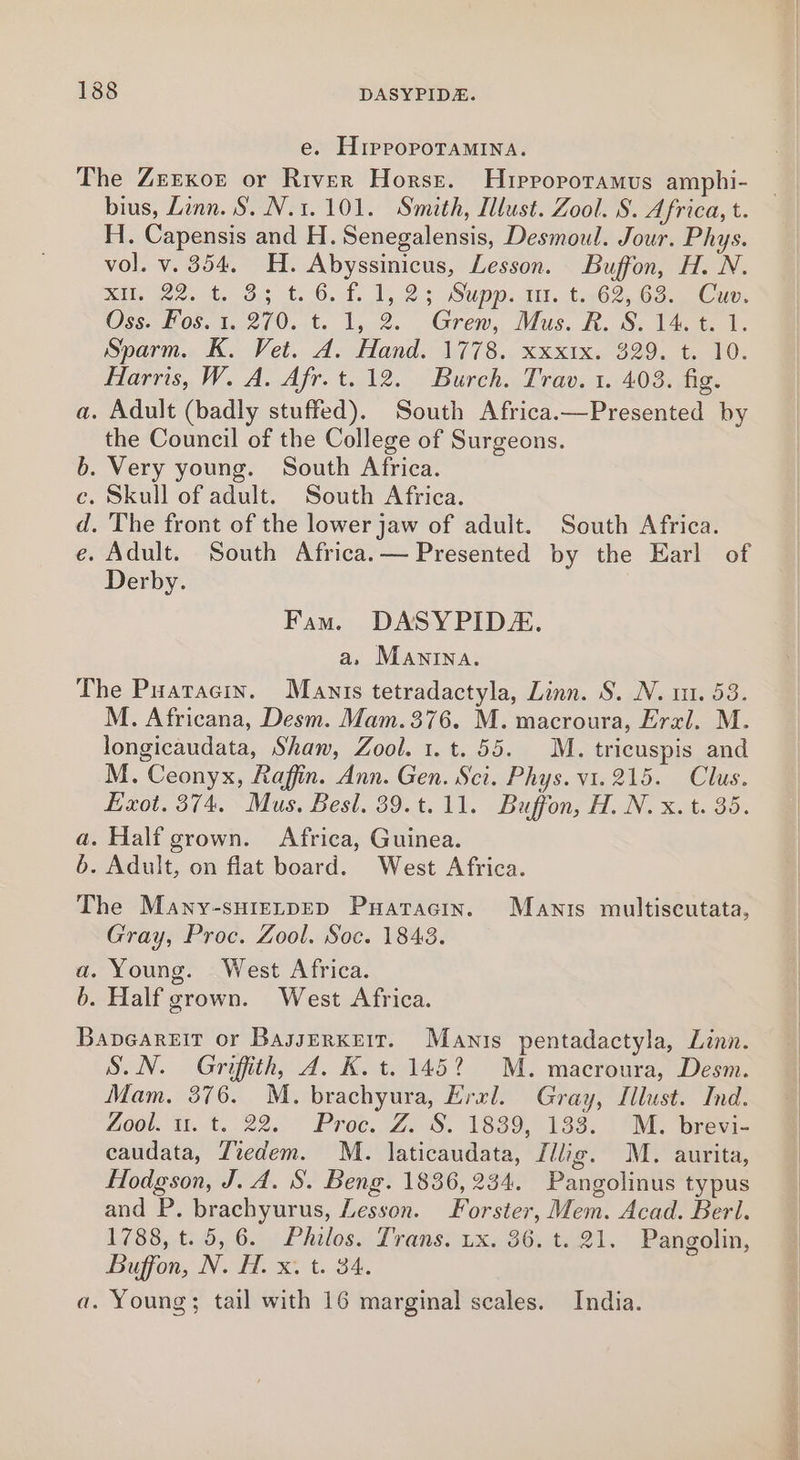 e. HippopoTaMINa. The ZeEexor or River Horse. Hrprorotamus amphi- bius, Lenn. S. N.1. 101. Smath, Illust. Zool. 8. Africa, t. H. Capensis and H. Senegalensis, Desmoul. Jour. Phys. vol. v. 354, H. Abyssinicus, Lesson. Buffon, H. N. Mi, tt. OG t. 6.1, 1, 25 Supp. tll, tx6% 63-eane Oss.cros. 1.270. t. 1,2. Gren, Mus. BR. 8S; 140% 1. Sparm. Ko Vet... tand. 1178. xxix. $29, t 10; Harris, W. A. Afr.t.12. Burch. Trav. 1. 403. fig. a. Adult (badly stuffed). South Africa.—Presented by the Council of the College of Surgeons. . Very young. South Africa. . Skull of adult. South Africa. . The front of the lower jaw of adult. South Africa. . Adult. South Africa.— Presented by the Earl of Derby. oaa oe Fam. DASYPIDE. a, MANINA. The Puaracin. Manis tetradactyla, Linn. S. N. m1. 53. M. Africana, Desm. Mam. 376. M. macroura, Eral. M. longicaudata, Shaw, Zool. 1.t. 55. M. tricuspis and M. Ceonyx, Raffin. Ann. Gen. Sci. Phys. v1. 215. Clus. Exot. 374. Mus. Besl. 39. t. 11. Buffon, H. N. x. t. 35. a. Half grown. Africa, Guinea. 6. Adult, on flat board. West Africa. The Many-sureLpDED Puatacin. Manis multiscutata, Gray, Proc. Zool. Soc. 1843. a. Young. West Africa. 6. Half grown. West Africa. Bapveareit or BasserKeit. Mantis pentadactyla, Linn. S.N. Griffith, Ad. K.t. 145? M. macroura, Desm. Mam. 376. M. brachyura, Evel. Gray, Illust. Ind. Zool. u. t. 22. Proc. Z. S. 1839, 133. M. brevi- caudata, Tiedem. M. laticaudata, Jilig. M. aurita, Hodgson, J. A. S. Beng. 1836, 234. Pangolinus typus and P. brachyurus, Lesson. Forster, Mem. Acad. Berl. 1788, t. 5, 6. Philos. Trans. ux. 36. t. 21. Pangolin, Buffon, N. H. x. t. 34. a. Young; tail with 16 marginal scales. India. _