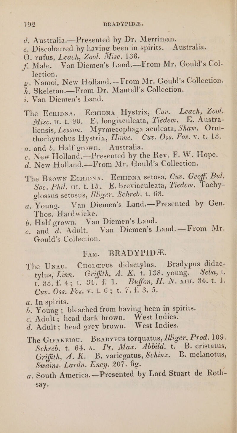 d. Australia.—Presented by Dr. Merriman. e. Discoloured by having been in spirits. Australia. O. rufus, Leach, Zool. Misc. 136. f. Male. Van Diemen’s Land.—From Mr. Gould’s Col- lection. g. Namoi, New Holland. —From Mr. Gould’s Collection. h. Skeleton.—From Dr. Mantell’s Collection. i. Van Diemen’s Land. The Ecurona. Ecuiwwna Hystrix, Cuv. Leach, Zool. Misc. 1. t. 90. E. longiaculeata, Tiedem. E. Austra- liensis, Lesson. Myrmecophaga aculeata, Sham. Orni- thorhynchus Hystrix, Home. Cuv. Oss. Fos. v. t. 13. a. and b. Half grown. Australia. c. New Holland.—Presented by the Rev. F. W. Hope. d. New Holland.—From Mr. Gould’s Collection. The Brown Ecurna. Ecuripna setosa, Cuv. Geoff. Bul. Soc. Phil. ut. t. 15. E. breviaculeata, Tiedem. Tachy- glossus setosus, Illiger. Schreb. t. 63. a. Young. Van Diemen’s Land.—Presented by Gen. Thos. Hardwicke. b. Half grown. Van Diemen’s Land. c, and d. Adult. Van Diemen’s Land.— From Mr. Gould’s Collection. Fam. BRADYPID. The Unav. Cuoterus didactylus. Bradypus didac- tylus, Linn. Griffith, A. K, t. 138. young, Seba, 1. t, 93. f. 4; t. 34. f. 1. Buffon, H, N. xm. 34. t. 1. Cue. Oss Fos. Vs t. 63.4. 7.1. 3.59. a. In spirits. b. Young ; bleached from having been in spirits. c. Adult; head dark brown. West Indies. d. Adult; head grey brown. West Indies. The Gieaxeiou. Brapypus torquatus, Illiger, Prod. 109. Schreb. t. 64. a. Pr. Max. Abbild, t. B. cristatus, Griffith, A. K. B. variegatus, Schinz. B. melanotus, Swains. Lardn. Ency. 207. fig. a. South America.—Presented by Lord Stuart de Roth- say.