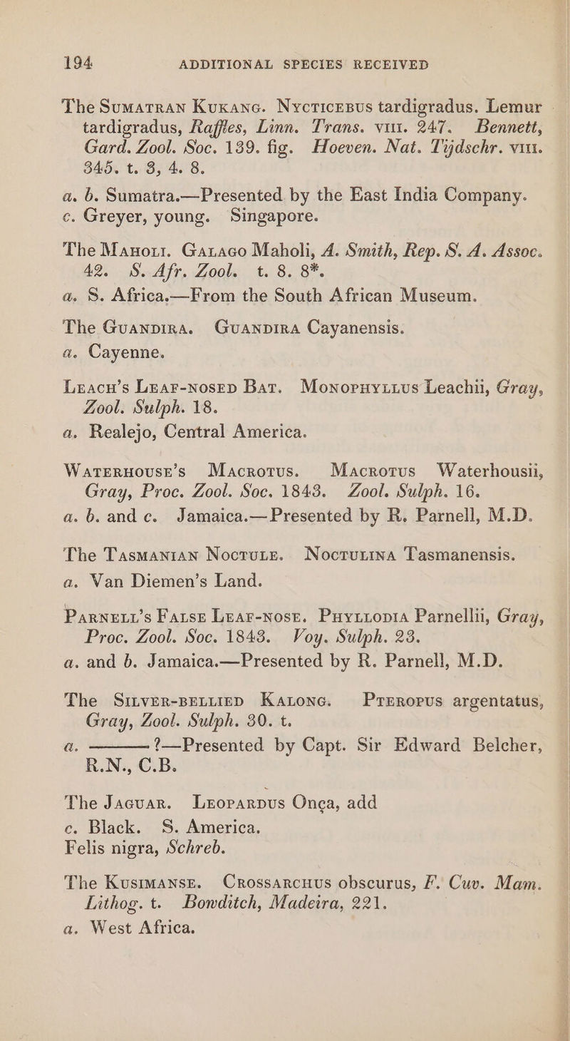 The Sumatran Kuxane. Nycticesus tardigradus. Lemur - tardigradus, Raffes, Linn. Trans. vin. 247. Bennett, Gard. Zool. Soc. 139. fig. Hoeven. Nat. Tijdschr. vu. 345. t. 3, 4. 8. a. 6. Sumatra.—Presented by the East India Company. c. Greyer, young. Singapore. The Manor. Gataco Maholi, A. Smith, Rep. S. A. Assoc. 42. S. Afr, Zool. t. 8. 8*. a. S. Africa.—From the South African Museum. The Guanpira. Guanpira Cayanensis. a. Cayenne. Leacu’s Lear-nosrp Bat. Monopuy.utivus Leach, Gray, Zool. Sulph. 18. a, Realejo, Central America. Waternouste’s Macrotus. Macrortus Waterhousii, Gray, Proc. Zool. Soc. 1843. Zool. Sulph. 16. a.b.andc. Jamaica.—Presented by R. Parnell, M.D. The Tasmanian Noctutse. Noctrunina Tasmanensis. a. Van Diemen’s Land. Parnetz’s Farse Lear-nost. Puytroptia Parnellii, Gray, Proc. Zool. Soc. 1843. Voy. Sulph. 23. a. and 6. Jamaica.—Presented by R. Parnell, M.D. The Sitver-BELLIED Katone. Prerorus argentatus, Gray, Zool. Sulph. 30. t. ?—Presented by Capt. Sir Edward Belcher, R.N., C.B. G. The Jacuar. Lxoparpus Onea, add c. Black. S. America. Felis nigra, Schreb. The KusimansE. Crossarcuvs obscurus, fF’. Cuv. Mam. Lithog. t. Bowditch, Madeira, 221.