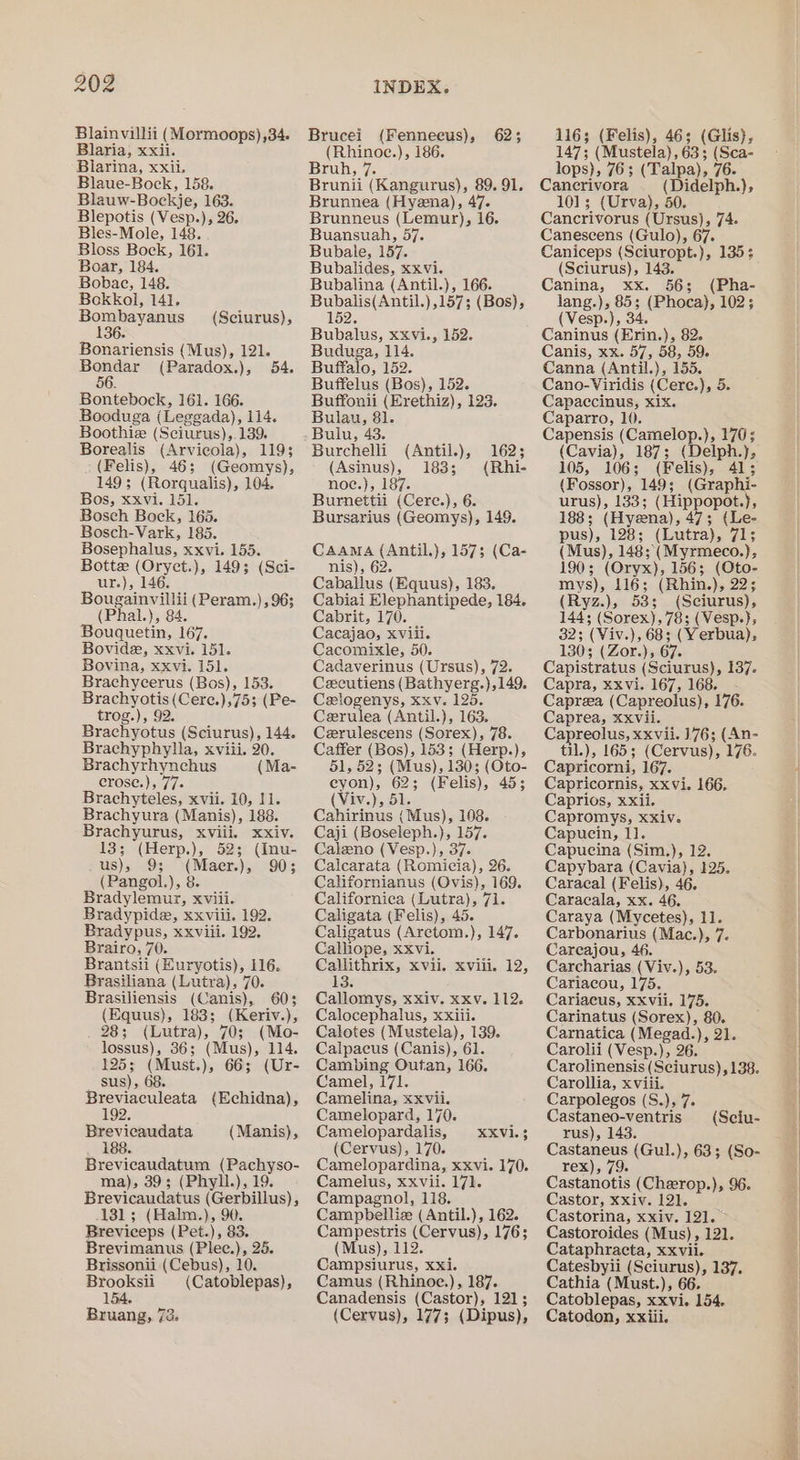 Blainvillii (Mormoops),34. Blaria, xxii. Blarina, xxii, Blaue-Bock, 158. Blauw-Bockje, 163. Blepotis (Vesp.), 26. Bles-Mole, 148. Bloss Bock, 161. Boar, 184. Bobace, 148. Bokkol, 141. Bombayanus (Sciurus), 136. Bonariensis (Mus), 121. aa (Paradox.), 54. Bontebock, 161. 166. Booduga (Leggada), 114. Boothie (Sciurus),.139. Borealis (Arvicola), 1193 (Felis), 46; (Geomys), 149; (Rorqualis), 104. Bos, xxvi. 151. Bosch Bock, 165. Bosch-Vark, 185. Bosephalus, xxvi. 155. Botte (Oryct.), 149; (Sci- ur.), 146. Bougainvillii (Peram.), 96; (Phal.), 84. Bouquetin, 167. Bovide, xxvi. 151. Bovina, xxvi. 151. Brachycerus (Bos), 153. Brachyotis (Cere.),753 (Pe- trog.), 92. Brachyotus (Sciurus), 144. Brachyphylla, xviii. 20. Brachyrhynchus (Ma- crose.), 77. Brachyteles, xvii. 10, 11. Brachyura (Manis), 188. Brachyurus, xviii. xxiv. 13; (Herp.), 52; (Inu- us), 9; (Maer.), 90; (Pangol.), 8. Bradylemur, xvili. Bradypide, xxviii. 192. Bradypus, xxviii. 192, Brairo, 70. Brantsii (Euryotis), 116. Brasiliana (Lutra), 70. Brasiliensis (Canis), 603 (Equus), 183; (Keriv.), 28; (Lutra), 70; (Mo- lossus), 36; (Mus), 114. 125; (Must.), 66; (Ur- sus), 68. Breviaculeata (Echidna), 192. Brevicaudata 188. Brevicaudatum (Pachyso- ma), 39; (Phyll.), 19. Brevicaudatus (Gerbillus), 131; (Halm.), 90. Breviceps (Pet.), 83. Brevimanus (Plec.), 25. Brissonii (Cebus), 10. Brooksii (Catoblepas), 154, Bruang, 72. (Manis), Brucei (Fenneecus), (Rhinoc.), 186. Bruh, 7. Brunii (Kangurus), 89. 91. Brunnea (Hyena), 47. Brunneus (Lemur), 16. Buansuah, 57. Bubale, 157. Bubalides, xxvi. Bubalina (Antil.), 166. Bubalis(Antil.),157; (Bos), 152 62; Bubalus, xxvi., 152. Buduga, 114. Buffalo, 152. Buffelus (Bos), 152. Buffonii (Erethiz), 123. Bulau, 81. Bulu, 43. Burchelli (Antil.), 162; (Asinus), 183; (Rhi- noe.), 187. Burnettii (Cere.), 6. Bursarius (Geomys), 149. Caama (Antil.), 1573 (Ca- nis), 62. Caballus (Equus), 183. Cabiai Elephantipede, 184. Cabrit, 170. Cacajao, xviii. Cacomixle, 50. Cadaverinus (Ursus), 72. Cecutiens (Bathyerg.),149. Celogenys, xxv. 125. Cerulea (Antil.), 163. Cerulescens (Sorex), 78. Caffer (Bos), 153; (Herp.), 51, 52; (Mus), 130; (Oto- eyon), 62; (Felis), 45; (Viv.), 51. Cahirinus { Mus), 108. Caji (Boseleph.), 157. Caleno (Vesp.), 37. Calcarata (Romicia), 26. Californianus (Ovis), 169. Californica (Lutra), 71. Caligata (Felis), 45. Caligatus (Aretom.), 147. Calliope, xxvi. Callithrix, xvii. xviii. 12, Callomys, xxiv. xxv. 112. Calocephalus, xxiii. Calotes (Mustela), 139. Calpacus (Canis), 61. Cambing Outan, 166. Camel, 171. Camelina, xxvii. Camelopard, 170. Camelopardalis, (Cervus), 170. Camelopardina, xxvi. 170. Camelus, xxvii. 171. Campagnol, 118. Campbelliz (Antil.), 162. Campestris (Cervus), 176; (Mus), 112. Campsiurus, xxi. Camus (Rhinoe.), 187. Canadensis (Castor), 121; (Cervus), 177; (Dipus), XXVi.3 116; (Felis), 46; (Glis), 147; (Mustela), 63; (Sca- lops), 76; (Talpa), 76. Cancrivora (Didelph.), 101; (Urva), 50. Cancrivorus (Ursus), 74. Canescens (Gulo), 67. Caniceps (Sciuropt.), 135 (Sciurus), 143. Canina, xx. 56; (Pha- lang.), 85; (Phoca), 102; (Vesp.), 34. Caninus (Erin.), 82. Canis, xx. 57, 58, 59. Canna (Antil.), 155. Cano-Viridis (Cere.), 5. Capaccinus, xix. Caparro, 10. Capensis (Camelop.), 170; (Cavia), 187; (Delph.}, 105, 106; (Felis), 415 (Fossor), 149; (Graphi- urus), 133; (Hippopot.), 188; (Hyena), 47; (Le- pus), 128; (Lutra), 71; (Mus), 148;(Myrmeco.}, 190; (Oryx), 156; (Oto- mys), 116; (Rhin.), 22; (Ryz.), 53; (Sciurus), 144; (Sorex), 78; (Vesp.}, 32; (Viv.), 68; (Yerbua), 130; (Zor.), 67. Capistratus (Sciurus), 137. Capra, xxvi. 167, 168. Caprea (Capreolus), 176. Caprea, xxvii. Capreolus, xxvii. 176; (An- til.), 165; (Cervus), 176. Capricorni, 167. Capricornis, xxvi. 166. Caprios, xxii. Capromys, xxiv. Capucin, 11. Capucina (Sim.), 12. Capybara (Cavia}, 125. Caracal (Felis), 46. Caracala, xx. 46, Caraya (Mycetes), 11. Carbonarius (Mac.), 7. Carcajou, 46. Carcharias (Viv.), 53. Cariacou, 175. Cariacus, xxvii. 175. Carinatus (Sorex), 80. Carnatica (Megad.), 21. Carolii (Vesp.), 26. Carolinensis (Sciurus), 138. Carollia, xviii. Carpolegos (S.), 7. Castaneo-ventris (Sciu- rus), 143. Castaneus (Gul.), 63; (So- rex), 79. Castanotis (Cherop.), 96. Castor, xxiv. 121. Castorina, xxiv. 121. Castoroides (Mus), 121. Cataphracta, xxvii. Catesbyli (Sciurus), 137. Cathia (Must.), 66. Catoblepas, xxvi. 154. Catodon, xxiii.