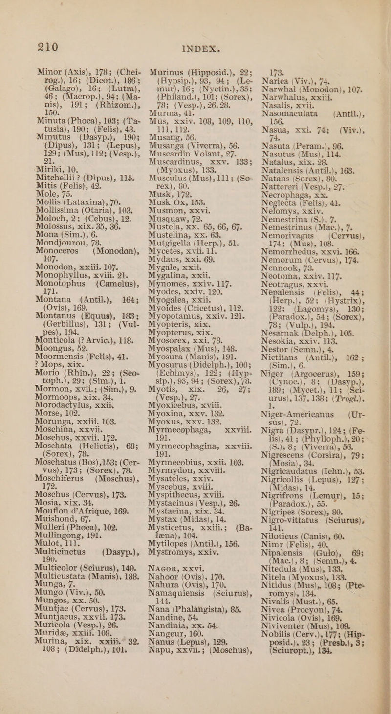 Minor (Axis), 178; (Chei- rog.), 16; (Dicot.), 186; (Galago), 16; (Lutra), 46; (Macrop.), 94; (Ma- nis), 191; (Rhizom.), Minuta (Phoea), 103; (Ta- tusia), 190; (Felis), 48. Minutus (Dasyp.), 190; (Dipus), 131: (Lepus), 129; (Mus), 112; (Vesp.), 21 Miriki, 10. Mitchellii ? (Dipus), 115. Mitis (Felis), 42. ole, 75. Mollis (Lataxina), 70. Mollissima (Otaria), 103. Moloch, 2; (Cebus), 12, Molossus, xix. 35, 36. Mona (Sim.), 6. Mondjourou, 78. oo {Monodon), 07. Monodon, xxiii. 107. Monophyllus, xviii. 21. oe (Camelus), 1 Montana (Antil.), 164; (Ovis), 169. Montanus (Equus), 183; (Gerbillus), 131; (Vul- pes), 194, Monticola (? Arvic.), 118. Moongus, 52. Moormensis (Felis), 41. ? Mops, xix. Morio (Rhin.), 22; (Seo- toph.), 29; (Sim.), 1. Mormon, xvii.; (Sim.), 9. Mormoops, xix. 34. Morodactylus, xxii. Morse, 102. Moschina, xxvii. Moschus, xxvii. 172. Moschata (Helictis), 683 (Sorex), 78. Mosehatus (Bos) ,153; (Cer- vus), 173; (Sorex), 78. pA (Moschus), 172 Moschus (Cervus), 173. Mosia, xix, 34. Moufion d’Afrique, 169. Muishond, 67. Mulleri (Phoea), 102. Mullingong, 191. Mulot, 111. Mees (Dasyp.), Multicolor (Sciurus), 140. Multicustata (Manis), 188. Munga, 7. Mungo (Viv.), 50. Mungos, xx. 50. Muntjac (Cervus), 173. Muntjacus, xxvii. 173. Muricola (Vesp.), 26. Muride, xxiii. 108. Murina, xix. xxiii.” 32, 108; (Didelph.), 101. Murinus (Hipposid.), 22; (Hypsip.), 98, 94; (Le- mur), 16; (Nyctin.), 35; (Philand.), 101; (Sorex), 78; (Vesp.), 26. 28. Murma, 41. Mus, xxiv. 108, 109, 110, 11d, 112. Musang, 56. Musanga (Viverra), 56. Museardin Volant, 27. Muscardinus, xxv. 133; (Myoxus), 133. Musculus (Mus), 111; (So- rex), 80. Musk, 172. Musk Ox, 153. Musmon, xXvi. Musquaw, 72. Mustela, xx. 65, 66, 67. Mustelina, xx. 63. Mutgigella (Herp.), 51. Mycetes, xvii. 11. Mydaus, xxi. 69, Mygale, xxii. Mygalina, xxii. Mynomes, xxiv. 117. Myodes, xxiv. 120. Myogalea, xxii. Myoides (Cricetus), 112. Myopotamus, xxiv. 121. Myopteris, xix. Myopterus, xix. Myosorex, xxi. 78. Myospalax (Mus), 148. Myosura (Manis), 191. Myosurus (Didelph.), 100; (Echimys), 122; (Hyp- sip.), 93, 94; (Sorex), 78. Myotis, xix. 26, 27; (Vesp.), 27. Myoxicebus, xviii. Myoxina, xxv. 182. Myrmecophaga, xxviii. 191. Myrmecophagina, xxviii. 191. Myrmecobius, xxii. 103. Myrmydon, xxviii. Mysateles, xxiv. Myscebus, xviii. Myspitheeus, xviii. Mystacinus (Vesp.), 26. Mystacina, xix. 34. Mystax (Midas), 14. Mysticetus, xxiii.; (Ba- lena), 104. Mytilopes (Antil.), 156. Mystromys, xxiv. NAGOR, XXVi. Nahoor (Ovis), 170. Nahura (Ovis), 170. Namaquiensis (Sciurus), 144, Nana (Phalangista), 85. Nandine, 54. Nandinia, xx. 54. Nangeur, 160. Nanus (Lepus), 129. Napu, xxvii.; (Moschus), 173. Narica (Viv.), 74. Narwhal (Monodon), 107. Narwhalus, xxiii. Nasalis, xvii. Nasomaculata (Antil.), 156. (Viv.), Nasua, xXxi. 74; 74 74 Nasuta (Peram.), 96. Nasutus (Mus), 114. Natalus, xix. 28. Natalensis (Antil.), 168. Natans (Sorex), 80. Naittereri (Vesp.), 27&gt; Necrophaga, xx. Neglecta (Felis), 41. Nelomys, &amp;xiv. Nemestrina (S.), 7. Nemestrinus (Mae.), 7. Nemorivagus (Cervus), 174; (Mus), 108. Nemorrhedus, xxvi. 166. Nemorum (Cervus), 174 Nennook, 73. Neotoma, xxiv, 117. Neotragus, xxvi. Nepalensis (Felis), 44; (Herp.), 52; (Hystrix), 122; (Lagomys), 130; (Paradox.), 54; (Sorex), 78; (Vulp.), 194. Nesarnak (Delph.), 105. Nesokia, xxiv. 113. Nestor (Semn.), 4 Nictitans (Antil.), 162; (Sim.), 6. Niger (Argocerus), 159; (Cynoe.), 8; (Dasyp.), 189; (Mycet.), 11; (Sci- urus), 137, 1383 (Tv ogt.), 1 (Ur- Nigra (Dasypr.), 124; (Fe- lis), 41 ; (Phylloph.}, 20; - (S.), 8; (Viverra), 56. Nigrescens (Corsira), 79; (Mosia), 34. Nigricaudatus (Ichn.), 53. a (Lepus), 127; (Midas), 14. Nigrifrons (Lemur), 15; (Paradox.), 55. Nigripes (Sorex), 80. Nigro-vittatus (Sciurus), 141. Niloticus (Canis), 60. Nimr (Felis), 40. Nipalensis (Gulo), 69; (Mac.), 8; (Semn.), 4 Nitedula (Mus), 133, Nitela (Myoxus), 133. Nitidus (Mus),, 108; (Pte- romys), 134. * Nivalis (Must.), 65. Nivea (Proeyon), 74. Nivicola (Ovis), 169. Niviventer (Mus), 109, Nobilis (Cerv.), 177; (Hip- posid.), 23; (Presb.), 3; (Sciuropt.), 134, Niger-Americanus