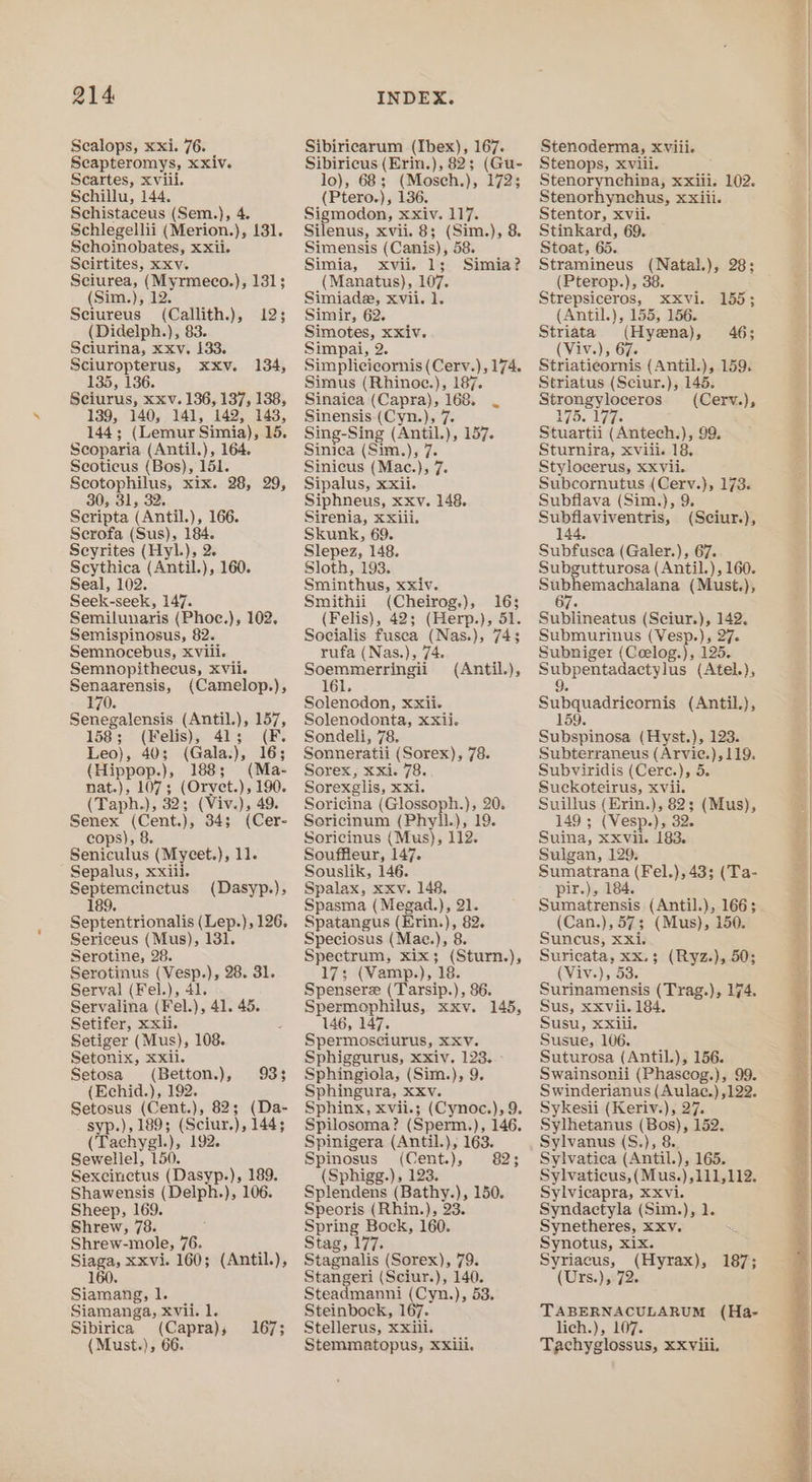 Scalops, xxi. 76. Scapteromys, xxiv. Scartes, xviii. Schillu, 144. Schistaceus (Sem.), 4. Schlegellii (Merion.), 131. Schoinobates, xxii. Scirtites, xxv. Sciurea, (Myrmeco.), 131; (Sim.), 12. Seiureus (Callith.), (Didelph.), 83. Sciurina, xxv. 133. Sciuropterus, xxv. 134, 135, 136. Sciurus, xxv. 136, 137, 138, 139, 140, 141, 142, 143, 44; (Lemur Simia), 15. Scoparia (Antil.), 164. Seoticus (Bos), 151. Scotophilus, xix. 28, 29, 30, 31, 32. Scripta (Antil.), 166. Scrofa (Sus), 184. Seyrites (Hyl.), 2. Scythica (Antil.), 160. Seal, 102. Seek-seek, 147. Semilunaris (Phoe.), 102. Semispinosus, 82. Semnocebus, Xviil. Semnopithecus, xvii. Senaarensis, (Camelop.), 123 70. Senegalensis (Antil.), 157, 1583; (Felis), 41; (F. Leo), 405 (Gala.), 16; (Hippop.), 188; (Ma- nat.), 107; (Orvet.), 190. (Tayh, ), 32; (Viv.), 49. Senex (Cent.), 34; (Cer- cops), 8. Seniculus (Mycet.), 11. Sepalus, xxiii. Septemcinetus (Dasyp.). 189. Septentrionalis (Lep.), 126. Sericeus (Mus), 131, Serotine, 28. Serotinus (Vesp.), 28. 31. Serval (Fel.), 41. Servalina (Fel.), 41. 45, Setifer, xxii. Setiger (Mus), 108. Setonix, xxi. Setosa (Betton.), 933 (Echid.), 192. Setosus (Cent.), 82; (Da- syp.), 189; (Sciur.), 144; (‘Tachygl. 5 192. Sewellel, 150. Sexcinetus (Dasyp.), 189. Shawensis (Delph.), 106. Sheep, 169. Shrew, 78. Shrew-mole, 76. ae xxvi. 160; (Antil.), 160. Siamang, 1. Siamanga, xvii. 1. Sibirica (Capra); (Must.), 66. 167; Sibiricarum (Ibex), 167. Sibiricus (Erin.), 82; (Gu- lo), 68; (Mosch.), 172; (Ptero.), 136. Sigmodon, xxiv. 117. Silenus, xvii. 8; (Sim.), 8. Simensis (Canis), 58. Simia, xvii. 1; Simia? (Manatus), 107. Simiade, xvii. 1. Simir, 62. Simotes, xxiv. Simpai, 2. Simplicicornis (Cerv.), 174. Simus (Rhinoc.), 187. Sinaica (Capra), 168, Sinensis (Cyn.), 7. Sing-Sing (Antil.), 157. Sinica (Sim.), Sinicus (Mac. re Sipalus, xxii. Siphneus, xxv. 148. Sirenia, xxiii. Skunk, 69. Slepez, 148. Sloth, 193. Sminthus, xxiv. Smithii (Cheirog.), 16; (Felis), 42; (Herp.), 51. Socialis fusea (Nas.), 743 rufa (Nas.), 74. oe pees (Antil.), 161. Solenodon, xxii. Solenodonta, xxii. Sondeli, 78, Sonneratii (Sorex), 78. Sorex, xxi. 78. Sorexglis, xxi. Soricina (Glossoph.), 20. Soricinum (Phyll.), 19. Soricinus (Mus), 112. Souffleur, 147. Souslik, 146. Spalax, xxv. 148. Spasma (Megad.), 21. Spatangus (Erin.), 82. Speciosus (Mae.), 8. Fcewras xix; (Sturn.), 17; (Vamp.), 18. Spensere (Tarsip.), 86. Spermophilus, xxv. 146, 147. Spermosciurus, XXV. Sphiggurus, xxiv. 123. Sphingiola, (Sim.), 9. Sphingura, xxv. Sphinx, xvii.; (Cynoc.), 9. Spilosoma? (Sperm.), 146, Spinigera (Antil.), 163. Spinosus (Cent.), 82; (Sphigg.), 123. Splendens (Bathy.), 150. Speoris (Rhin.), 23. Spring Bock, 160. Stag, 177. Stagnalis (Sorex), 79. Stangeri (Sciur.), 140. Steadmanni (Cyn.), 53. Steinbock, 167. Stellerus, xxiii. Stemmatopus, XxXiii. 145, Stenoderma, XViii- Stenops, xviii. Stenorynchina, xxiii. 102. Stenorhynchus, Xxill. Stentor, xvii. Stinkard, 69. Stoat, 65. Stramineus (Natal.), 28; (Pterop.), 38 Strepsiceros, xxvi. 155; (Antil.), 155, 156. Striata (Hyena), 46; (Viv.), 67. Striatieornis (Antil.), 159. Striatus (Sciur.), 145. Strongyloceros (Cerv.), 175. 177. Stuartii (Antech.), 99. Sturnira, xviii. 18, Stylocerus, xxvii. Subcornutus (Cerv.), 173. Subfiava (Sim.), 9. Subfiaviventris, (Sciur.), 144, Subfusea (Galer.), 67. Subgutturosa (Antil.), 160. Subhemachalana (Must.), 67. Sublineatus (Sciur.), 142. Submurinus (Vesp.), 27. Subniger (Coelog.), 125. pee ae (Atel.), Subquadricornis (Antil.), 159. Subspinosa (Hyst.), 123. Subterraneus (Arvie.), 119. Subviridis (Cere.), 5. Suckoteirus, xvii. Suillus (Erin.), 82; (Mus), 149 ; (Vesp.), 32. Suina, xxvii. 183. Sulgan, 129. Sumatrana (Fel.), 43; (Ta- pir.), 184, Sumatrensis (Antil.), 166; (Can.), 573 (Mus), 150. Suncus, xxi. Suricata, xx.3 ; (Ryz.), 50 (Viv.), 53. Shae (Trag.), 174. Sus, xxvii. 184. Susu, xxiii. Susue, 106. Suturosa (Antil.), 156. Swainsonii (Phascog.), 99. Swinderianus (Aulac.) ,122. Sykesii (Keriv.), 27. Sylhetanus (Bos), 152. Sylvanus (S.), 8. Sylvatica (Antil.), 165. Sylvaticus, (Mus. ) AIL, Sylvicapra, XXvVi. Syndactyla (Sim.), 1. Synetheres, xxv. Synotus, Xix. Syriacus, (Hyrax), (Urs.), 72. 187; TABERNACULARUM (Ha- lich.), 107. Tachyglossus, XXViii.