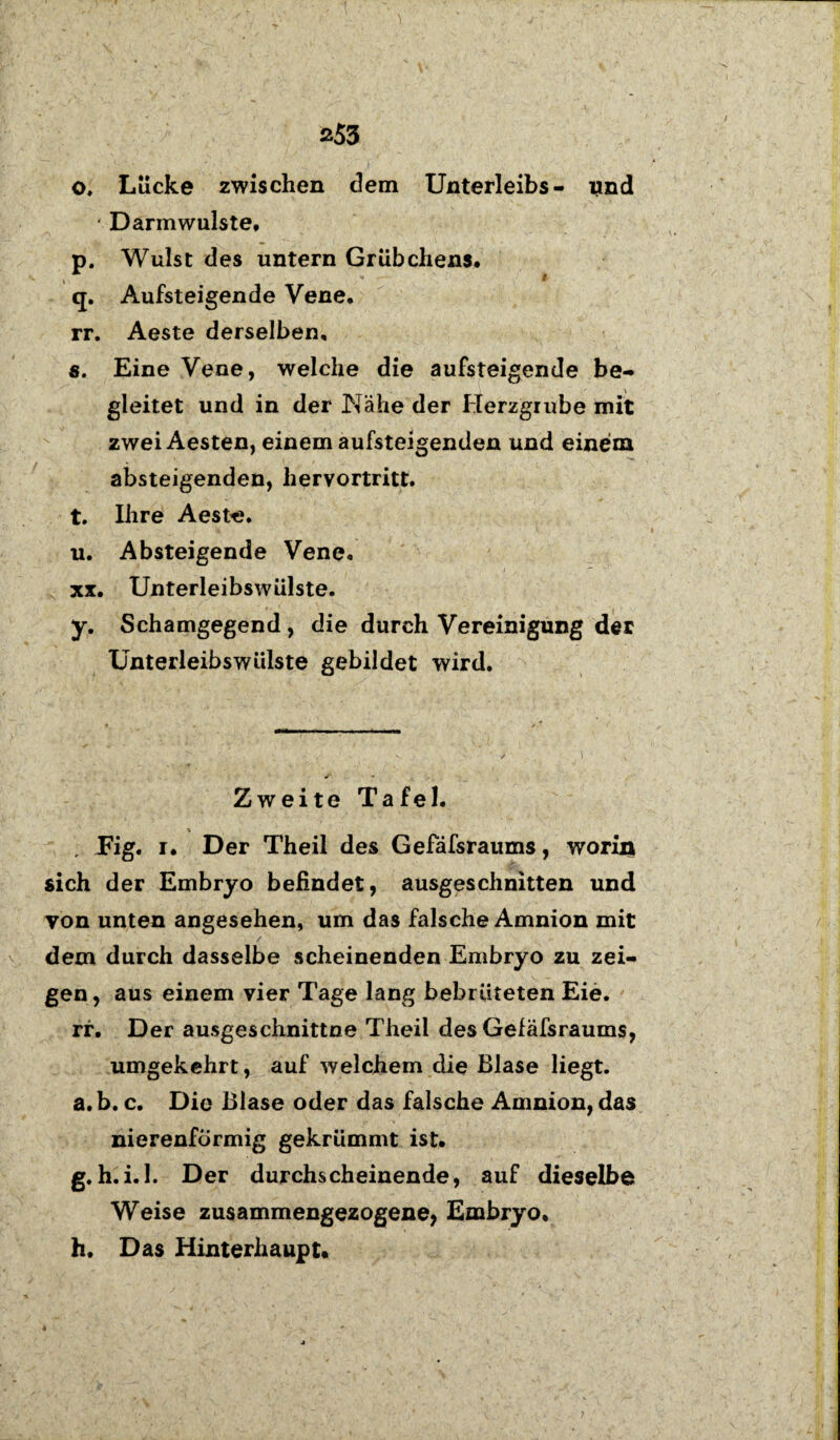 253 o. Lücke zwischen dem Unterleibs- und * Darmwulste* p. Wulst des untern Grübchens. q. Aufsteigende Vene. rr. Aeste derselben, 8. Eine Vene, welche die aufsteigende be¬ gleitet und in der Nähe der Herzgrube mit zwei Aesten, einem aufsteigenden und einem absteigenden, hervortritt. t. Ihre Aest«. u. Absteigende Vene. xx. Unterleibswülste. y. Schamgegend , die durch Vereinigung der Unterleibswülste gebildet wird. «>• Zweite Tafel. Eig. i. Der Theil des Gefäfsraums, worin sich der Embryo befindet, ausgeschnitten und von unten angesehen, um das falsche Amnion mit dem durch dasselbe scheinenden Embryo zu zei¬ gen , aus einem vier Tage lang bebrüteten Eie. rr. Der ausgeschnittne Theil des Gefäfsraums, umgekehrt, auf welchem die Blase liegt, a. b. c. Die Blase oder das falsche Amnion, das nierenförmig gekrümmt ist. g. h.i. 1. Der durchscheinende, auf dieselbe Weise zusammengezogene, Embryo. h. Das Hinterhaupt. 1