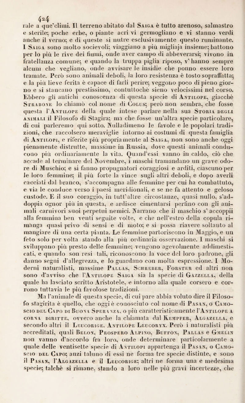 4^4 rale a ({iieYlimi. Il terreno abitato dal Saiga è tutto arenoso, salmastro e sterile*, poche erbe, o piante acri vi germogliano e vi stanno verdi anche il verno^ e di queste si nutre esclusivamente questo ruminante. 1 Saiga sono molto socievoli; viaggiano a più migliaja insieme^ battono per lo più le rive dei lìumi, onde aver campo di abbeverarsi^ vivono in iiatellauza comune^ e quando la truppa piglia riposo, v*’hanno sempre alcuni che vegliano, onde avvisare le insidie che ponno essere loro tramate. Però sono animali deboli, la loro resistenza è tosto soprafiatta^ e la più lieve ferita è capace di farli perire^ veggono poco di pieno gior¬ no e si stancano prestissimo, contuttoché sieno velocissimi nel corso. Ebbero gli antichi conoscenza di questa specie di Antilope, giacché Strabo,\E lo chiamò col nome di Colus^ però non sembra, che fosse questa TAntilope della quale intese parlare nella sua Storia degli AMMALI il Filosofo di Stagira^ ma che fosse uiFaltra specie particolare, di cui parleremo qui sotto. Nnlladimeno le favole e le popolari tradi¬ zioni, che raccolsero meraviglie intorno ai costumi di questa famiglia di Antilopi, e riferite più propriamente al Saiga, non sono anche oggi ])ienamente distrutte, massime in Russia, dove questi animali condu¬ cono più ordinariamente la vita. Quand-essi vanno in caldo, ciò che accade al terminare del IXovembre, i maschi tramandano un grave odo¬ re di Muschio; e si fanno propugnatori coraggiosi e arditi, ciascuno per le loro femmine^ il più forte la vince sugli altri deboli, e dopo averli cacciati dal branco, s'’acconipagna alle femmine per cui ha combattuto, e via le conduce verso i paesi meridionali, e se ne fà attento e geloso custode. E il suo coraggio, in tutFaltre circostanze, quasi nullo, s'’ad- doppia ognor più in questa, e ardisce cimentarsi perfino con gli ani¬ mali carnivori suoi perpetui nemici. IXarrano che il maschio s'’accoppii alla femmina ben venti seguite volte, e che nelTestro della copula ri¬ manga quasi jirivo di sensi e di moto^ e si possa riavere soltanto al mangiare di una certa yiianta. Le femmine partoriscono in Maggio, e un feto solo per volta stando alla più ordinaria osservazione. I maschi si sviluppano più presto delle femmine; vengono agevolmente addimesti¬ cati, e quando son resi tali, riconoscono la voce del loro padrone, gli danno segni d'allegrezza, e lo guardano con molta espressione. I Mo¬ derni naturalisti, massime Pallas, Schreber, Forster ed altri non sono d'avviso che TAntilope Saiga sia la specie di Gazzella, della quale ha lasciato scritto Aristotele, e intorno alla quale corsero e cor¬ rono tuttavia le più favolose tradizioni. Ma Tanimale di questa specie, di cui pare abbia voluto dire il Filoso¬ fo stagirita è quello, che oggi è conosciuto col nome di Pasan, o Camo¬ scio DEL Capo di Buona Speranza, o ])iù caratteristicamente TAntilope a CORNA DIRITTE, ovveuo aiiclie la chiamata dal Rempfer, Algazella, e secondo altri il Leucorige, Antilope Leucoryx. Però i naturalisti più accreditati, quali Belon, Prospero Alpino, Buffon, Pallas e Gmelin non vanno d'accordo fra loro, onde determinare particolarmente a quale delle ventisette specie di Antilopi appartenga il Pasan, o Camo¬ scio DEL Capo; anzi taluno di essi ne forma tre specie distinte, e sono il Pasan, I'Algazella e il Leucorige; altri ne forma una e medesima specie; talché si rimane, stando a loro nelle più gravi incertezze, che