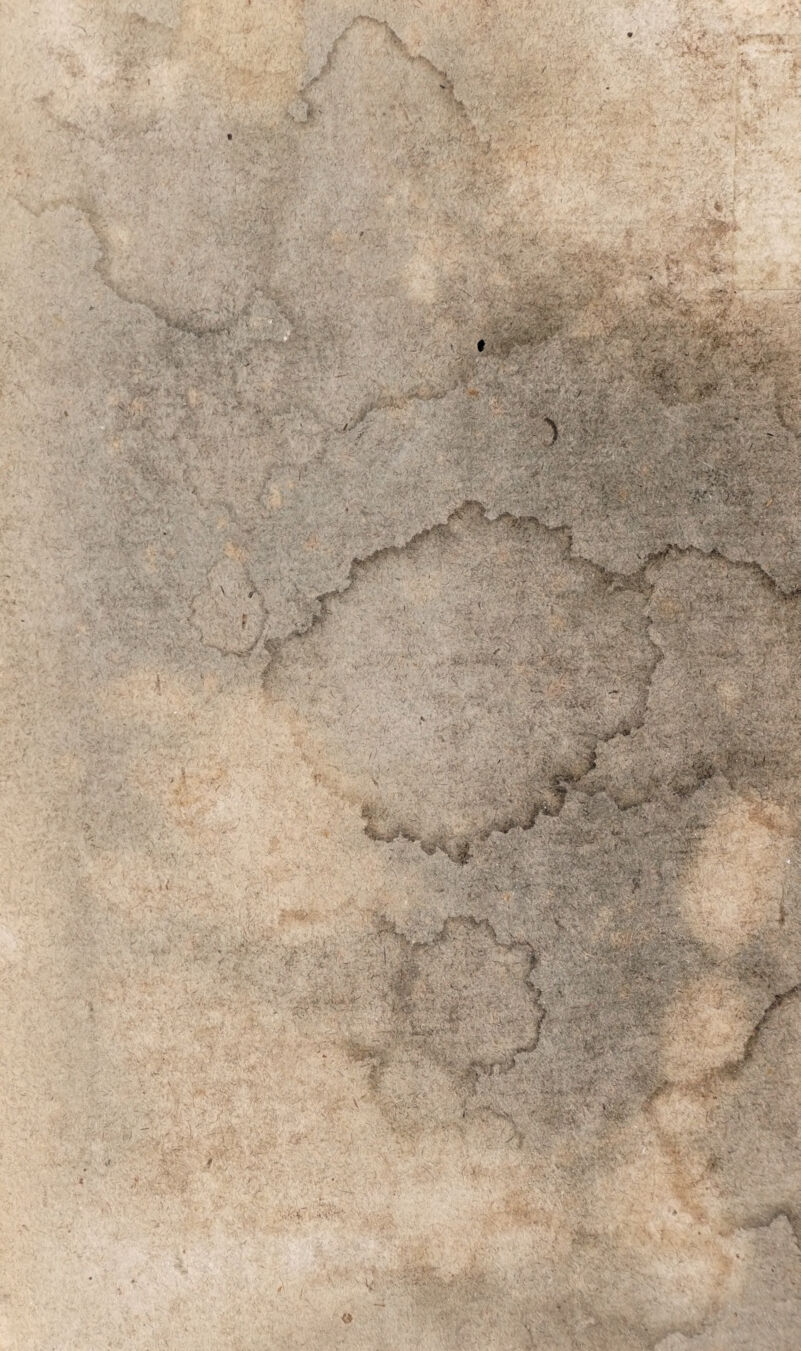 rc aerem, nifi qui vivat *). Ea autem fententia quamvis ex toto quidem negari non poflit, occur¬ runt tamen omnino exempla vitae, quae fine refpi- ratione et circuitu fanguinis per pulmones protra¬ hitur. Quodfi enim vel foramen ovale inter utrum¬ que cordis atrium apertum manet, vel cordis feptum haud rite formatur, vel etiam aorta utrique ventri¬ culo adaptata eft, (path. gen. §. 201.) vita omnino fruitur infans, neque tamen omnis omnino fanguis 4 venofus per pulmones pellitur,' ut ibi oxydatus in ar- teriofum abeat. Etiamli igitur pulmones fuo munere haud perfungantur , vita tamen omnino fruitur infans. Dein credibile eft, cum nervos pulmones potif- fimum e medulla fpinali accipiant, polle etiam fpiri- tuum ducendorum officium contingere fine vita fen- fifera ea, quae humano juri idoneum reddit infan¬ tem. Itaque et monftra acephala, humano jure de- ftituenda (§. 18O et hydrocephalos, vitam aegerrime * protracturos, fpiritus tamen ducere per aliquot teru- pus quid eft quod vetet ? 46. Pulmonum functio, eaque effecta earum muta¬ tio creditur aliter locum obtinere non polle , quam Galen. de loc. adf. lib. 6. p. 21.4. IU71 hrsvrac dxdgia? tTva/ tov dvomvsrj rd £v\v, rov rs <?yjv ro dvaxvfiv , warcc trev {uvtcc ndvrws ftvofsjod tov avarrvfovra ndvros <$v. ov K