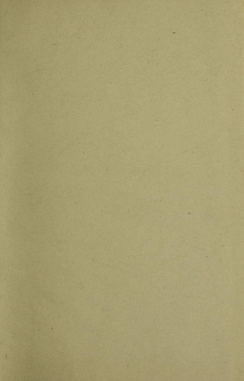 ■ ’ -■ > < / ■ y'^ ■í.< • . I