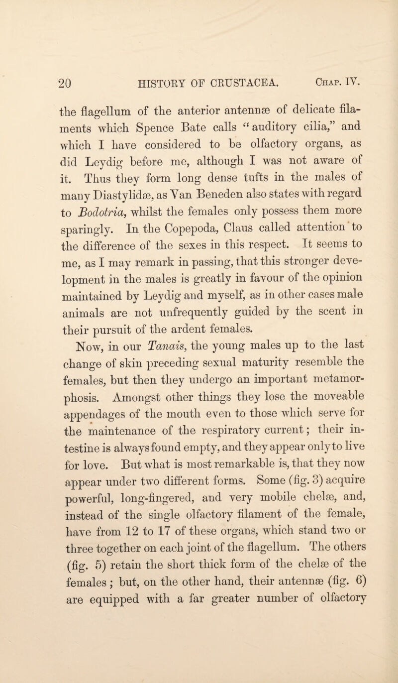 the flagellum of the anterior antennae of delicate fila¬ ments which Spence Bate calls “ auditory cilia,” and which I have considered to be olfactory organs, as did Leydig before me, although I was not aware of it. Thus they form long dense tufts in the males of many Diastylidae, as Van Beneden also states with regard to Bodotria, whilst the females only possess them more sparingly. In the Copepoda, Claus called attention to the difference of the sexes in this respect. It seems to me, as I may remark in passing, that this stronger deve¬ lopment in the males is greatly in favour of the opinion maintained by Leydig and myself, as in other cases male animals are not unfrequently guided by the scent in their pursuit of the ardent females. Now, in our Tanais, the young males up to the last change of skin preceding sexual maturity resemble the females, but then they undergo an important metamor¬ phosis. Amongst other things they lose the moveable appendages of the mouth even to those which serve for the maintenance of the respiratory current; their in¬ testine is alwaysfound empty, and they appear only to live for love. But what is most remarkable is, that they now appear under two different forms. Some (fig. 3) acquire powerful, long-fingered, and very mobile chelae, and, instead of the single olfactory filament of the female, have from 12 to 17 of these organs, which stand two or three together on each joint of the flagellum. The others (fig. 5) retain the short thick form of the chelae of the females ; but, on the other hand, their antennae (fig. 6) are equipped with a far greater number of olfactory