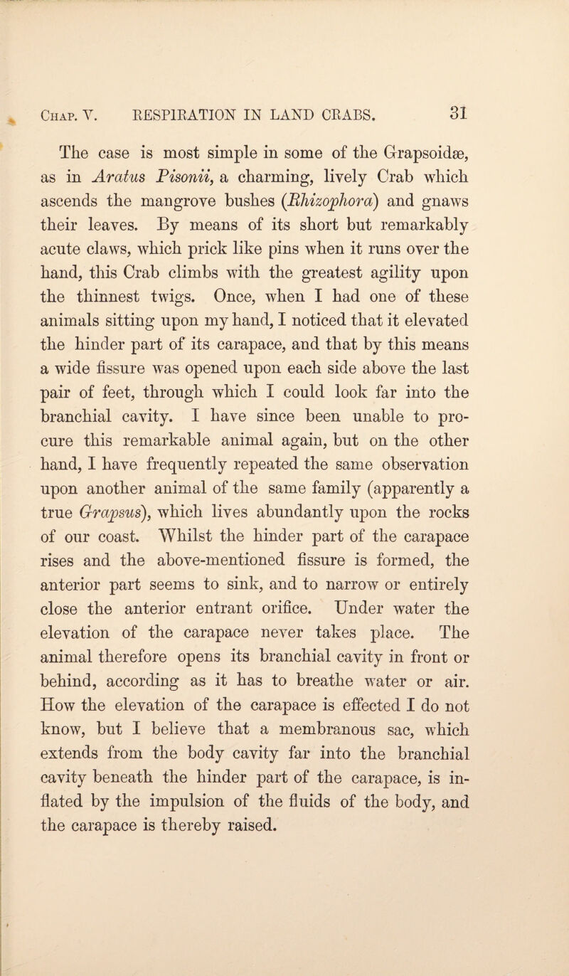 The case is most simple in some of the Grrapsoidse, as in Aratus Pisonii, a charming, lively Crab which ascends the mangrove bushes (.Bhizojphora) and gnaws their leaves. By means of its short but remarkably acute claws, which prick like pins when it runs over the hand, this Crab climbs with the greatest agility upon the thinnest twigs. Once, when I had one of these animals sitting upon my hand, I noticed that it elevated the hinder part of its carapace, and that by this means a wide fissure was opened upon each side above the last pair of feet, through which I could look far into the branchial cavity. I have since been unable to pro¬ cure this remarkable animal again, but on the other hand, I have frequently repeated the same observation upon another animal of the same family (apparently a true Grapsus), which lives abundantly upon the rocks of our coast. Whilst the hinder part of the carapace rises and the above-mentioned fissure is formed, the anterior part seems to sink, and to narrow or entirely close the anterior entrant orifice. Under water the elevation of the carapace never takes place. The animal therefore opens its branchial cavity in front or behind, according as it has to breathe water or air. How the elevation of the carapace is effected I do not know, but I believe that a membranous sac, which extends from the body cavity far into the branchial cavity beneath the hinder part of the carapace, is in¬ flated by the impulsion of the fluids of the body, and the carapace is thereby raised.