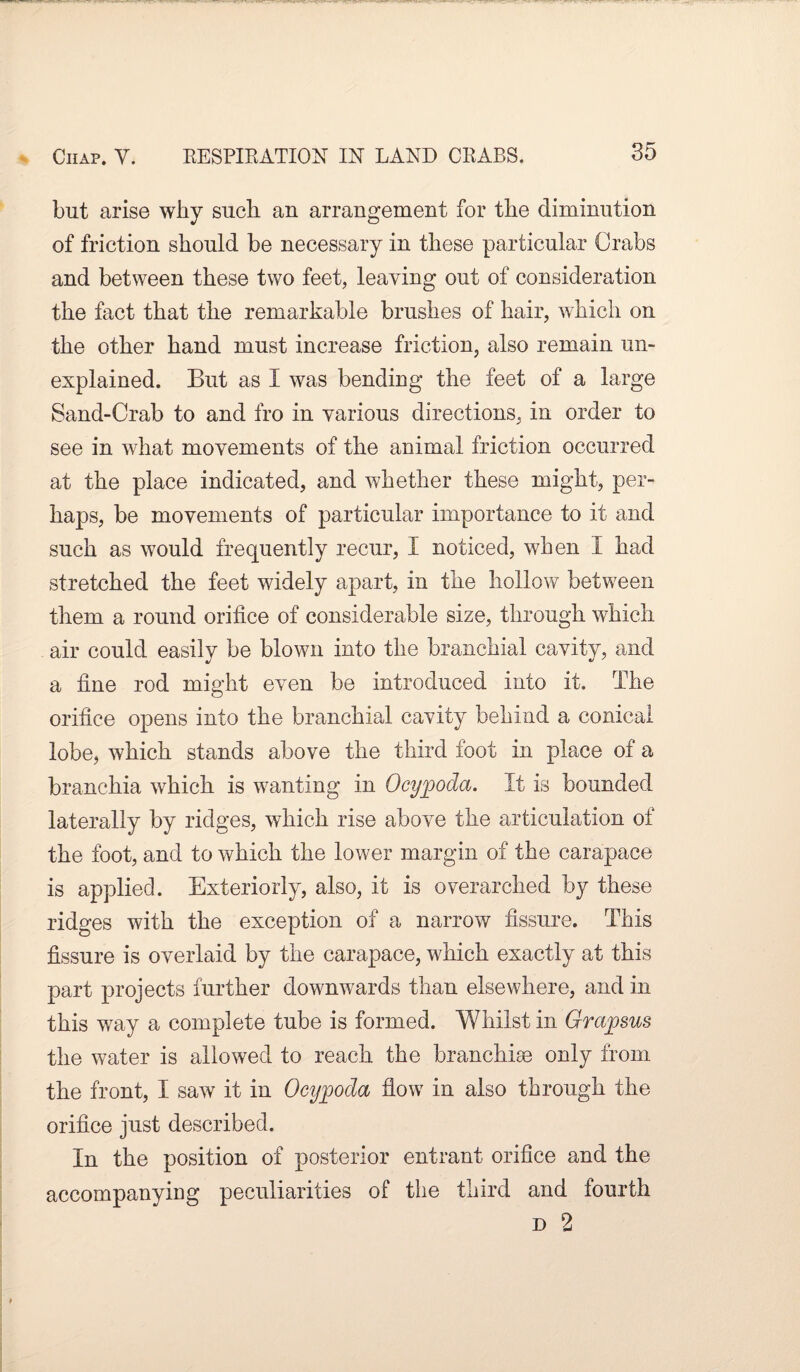 but arise why such an arrangement for the diminution of friction should be necessary in these particular Crabs and between these two feet, leaving out of consideration the fact that the remarkable brushes of hair, which on the other hand must increase friction, also remain un¬ explained. But as I was bending the feet of a large Sand-Crab to and fro in various directions, in order to see in what movements of the animal friction occurred at the place indicated, and whether these might, per¬ haps, be movements of particular importance to it and such as would frequently recur, I noticed, when I had stretched the feet widely apart, in the hollow between them a round orifice of considerable size, through which air could easily be blown into the branchial cavity, and a fine rod might even be introduced into it. The orifice opens into the branchial cavity behind a conical lobe, which stands above the third foot in place of a branchia which is wanting in Ocypoda. It is bounded laterally by ridges, which rise above the articulation of the foot, and to which the lower margin of the carapace is applied. Exteriorly, also, it is overarched by these ridges with the exception of a narrow fissure. This fissure is overlaid by the carapace, which exactly at this part projects further downwards than elsewhere, and in this way a complete tube is formed. Whilst in Grajjsus the water is allowed to reach the branchiae only from the front, I saw it in Octjpoda flow in also through the orifice just described. In the position of posterior entrant orifice and the accompanying peculiarities of the third and fourth