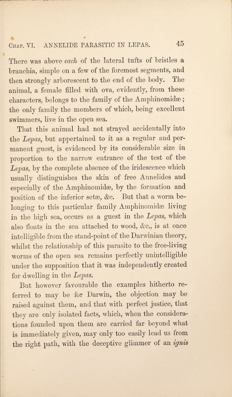 Chap. YI. ANNELIDE PARASITIC IN LEPAS. There was above each of the lateral tufts of bristles a branchia, simple on a few of the foremost segments, and then strongly arborescent to the end of the body. The animal, a female filled with ova, evidently, from these characters, belongs to the family of the Amphinomidse; the only family the members of which, being excellent swimmers, live in the open sea. That this animal had not strayed accidentally into the Lepas, but appertained to it as a regular and per¬ manent guest, is evidenced by its considerable size in proportion to the narrow entrance of the test of the Lepas, by the complete absence of the iridescence which usually distinguishes the skin of free Annelides and especially of the Amphinomidse, by the formation and position of the inferior setae, &c. But that a worm be¬ longing to this particular family Amphinomidse living in the high sea, occurs as a guest in the Lepas, which also floats in the sea attached to wood, &c., is at once intelligible from the stand-point of the Darwinian theory, whilst the relationship of this parasite to the free-living worms of the open sea remains perfectly unintelligible under the supposition that it was independently created for dwelling in the Lejgas. But however favourable the examples hitherto re¬ ferred to may be for Darwin, the objection may be raised against them, and that with perfect justice, that they are only isolated facts, which, when the considera¬ tions founded upon them are carried far beyond what is immediately given, may only too easily lead us from the right path, with the deceptive glimmer of an ignis