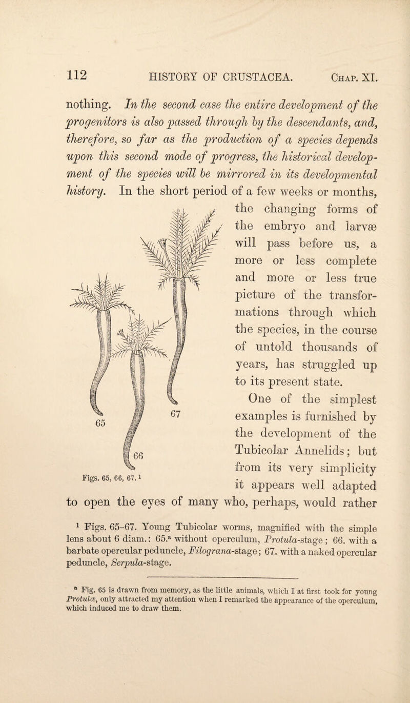 nothing. In the second ease the entire development of the progenitors is also passed through by the descendants, and, therefore, so far as the production of a species depends upon this second mode of progress, the historical develop¬ ment of the species will be mirrored in its developmental history. In the short period of a few weeks or months, / the changing forms of \W ,/ the embryo and larvae will pass before us, a more or less complete and more or less true picture of the transfor¬ mations through which the species, in the course of untold thousands of years, has struggled up to its present state. One of the simplest examples is furnished by the development of the Tubicolar Annelids; but from its very simplicity it appears well adapted to open the eyes of many who, perhaps, would rather Figs. 65, 66, 67. i 1 Figs. 65-67. Young Tubicolar worms, magnified with the simple lens about 6 diam.: 65.a without operculum, Protula-st&ge ; 66. with a barbate opercular peduncle, Filograna-sk&ge; 67. with a naked opercular peduncle, Serpula-st&ge. a Fig. 65 is drawn from memory, as the little animals, which I at first took for young Protulce, only attracted my attention when I remarked the appearance of the operculum, which induced me to draw them.
