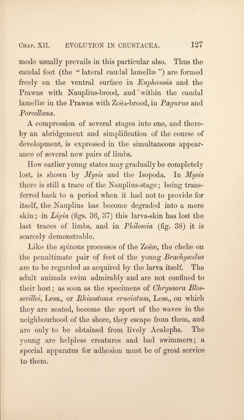 mode usually prevails in this particular also. Thus the caudal feet (the “ lateral caudal lamellae ”) are formed freely on the ventral surface in Eujohausia and the Prawns with Nauplius-brood, and ’ within the caudal lamellae in the Prawns with Zoea-brood, in Pagurus and PorceTlana. A compression of several stages into one, and there¬ by an abridgement and simplification of the course of development, is expressed in the simultaneous appear¬ ance of several new pairs of limbs. How earlier young states may gradually be completely lost, is shown by Mysis and the Isopoda. In Mysis there is still a trace of the Nauplius-stage; being trans¬ ferred back to a period when it had not to provide for itself, the Nauplius has become degraded into a mere skin; in Ligia (figs. 36, 37) this larva-skin has lost the last traces of limbs, and in Philoscia (fig. 38) it is scarcely demonstrable. Like the spinous processes of the Zoeae, the chelae on the penultimate pair of feet of the young Brachyscelus are to be regarded as acquired by the larva itself. The adult animals swim admirably and are not confined to their host; as soon as the specimens of Chrysaora Blos- sevillei, Less., or Bhizostoma cruciatum, Less., on which they are seated, become the sport of the waves in the neighbourhood of the shore, they escape from them, and are only to be obtained from lively Acalephs. The young are helpless creatures and bad swimmers; a special apparatus for adhesion must be of great service to them.