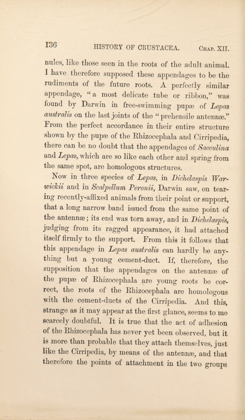 miles, like those seen in the roots of the adult animal. I have therefore supposed these appendages to be the rudiments of the future roots. A perfectly similar appendage, “ a most delicate tube or ribbon,” was found by Darwin in free-swimming pupae of Lepas australis on the last joints of the “ prehensile antennae.” Fiom the perfect accordance in their entire structure shown by the pupae of the Rhizocephala and Cirripedia, there can be no doubt that the appendages of Sacculina and Lepas, which are so like each other and spring from the same spot, are homologous structures. Now in three species of Lepas, in Lhchelaspis War- wickii and in 8'ealpelluin Peronii, Darwin saw, on tear¬ ing recently-affixed animals from, their point or support, that a long narrow band issued from the same point of the antennae; its end was torn away, and in Dichelaspis, judging from its ragged appearance, it had attached itself firmly to the support. From this it follows that this appendage in Lepas australis can hardly be any¬ thing but a young cement-duct. If, therefore, the supposition that the appendages on the antennae of the pupae of Rhizocephala are young roots be cor¬ rect, the roots of the Rhizocephala are homologous with the cement-ducts of the Cirripedia. And this, strange as it may appear at the first glance, seems to me scarcely doubtful. It is true that the act of adhesion of the Rhizocephala has never yet been observed, but it is more than probable that they attach themselves, just like the Cirripedia, by means of the antennm, and that therefore the points of attachment in the two groups