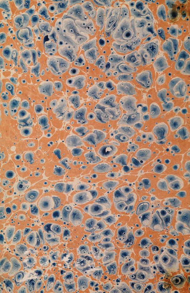 No text description is available for this image