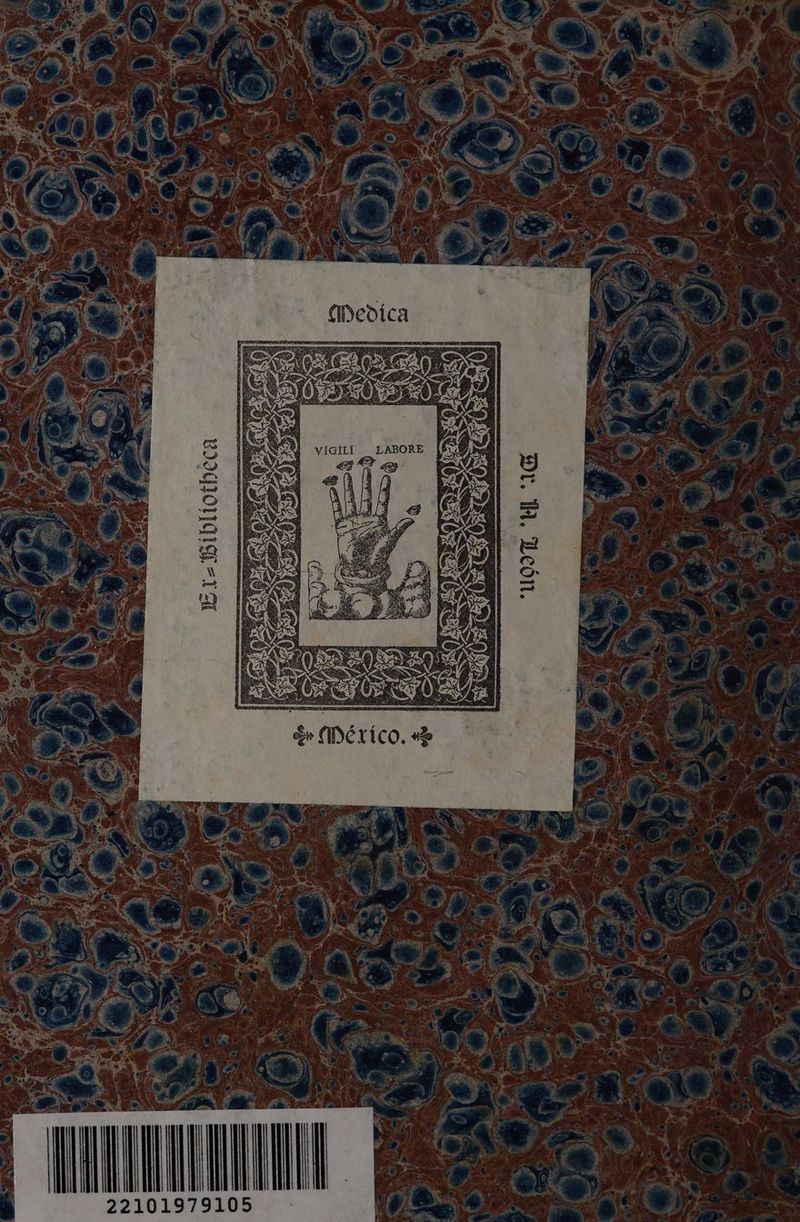 viGiLi a O Bibliotbeca E MUA 22101979105