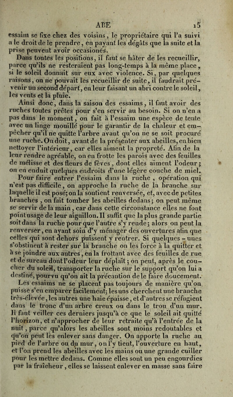 essaim se fixe cliez des voisins, le propriétaire qui l’a suivi a le droit de le prendre, en payant les dégâts que la suite et la prise peuvent avoir occasionés. Dans toutes les positions, il faut se liâter de les recueillir, parce qu’ils ne resteraient pas long-temps à la même place, si le soleil donnait sur eux avec violence. Si, par quelques raisons, on ne pouvait les recueillir de suite, il faudrait pré- venir un second départ, enleur faisant un abri contre le soleil, les vents et la pluie. Ainsi donc, dans la saison des essaims, il faut avoir des ruches toutes prêtes pour s’en servir au besoin. Si on n’en a pas dans le moment, on fait à l’essaim une espèce de tente avec un linge mouillé pour le garantir de la chaleur et em- pêcher qu’il ne quitte l’arbre avant qu’on ne se soit procuré une ruche. On doit, avant de la présenter aux abeilles, en bien nettoyer l’intérieur, car elles aiment la propreté. Afin de la leur rendre agréable, on en frotte les parois avec des feuilles de mélisse et des fleurs de fèves , dont elles aiment l’odeur; on en enduit quelques endroits d’une légère couche de miel. Pour faire entrer l’essaim dans la ruche , opération qui n’est pas difficile, on approche la ruche de la branche sur laquelle il est posé; on la soutient renversée, et, avec de petites branches , on fait tomber les abeilles dedans ; on peut même se servir delà main, car dans cette circonstance elles ne font point usage de leur aiguillon.il suffit que la plus grande partie soit dans la ruche pour que l’autre s’y rende; alors on peut la renverser, en ayant soin d’y ménager des ouvertures afin que celles qui sont dehors puissent y rentrer. Si quelques - unes s’obstinent à rester sur la branche on les force à la quitter et à se joindre aux autres, en la frottant avec des feuilles de rue et de sureau dont l’odeur leur déplaît ; on peut, après le cou- cher du soleil, transporter la ruche sur le support qu’on lui a destiné, pourvu qu’on ait la précaution dele faire doucemeut. Les essaims ne se placent pas toujours de manière qu’on puisse s’en emparer facilement; les uns cherchent une branche très-élevée, les autres une haie épaisse, et d’autres se réfugient dans le tronc d’un arbre creux ou dans le trou d’un mur. Il faut veiller ces derniers jusqu’à ce que le soleil ait quitté l’horizon, et n’approcher de leur retraite qu’à l’entrée de la nuit, parce qu’alors les abeilles sont moins redoutables et qu’on peut lès enlever sans danger. On apporte la ruclie au pied de l’arbre ou du mur, on l’y tient, l’ouverture en haut, et l’on prend les abeilles avec les mains ou une grande cuiller pour les mettre dedans. Comme elles sont un peu engourdies par la fraîcheur, elles se laissent enlever en masse sans faire