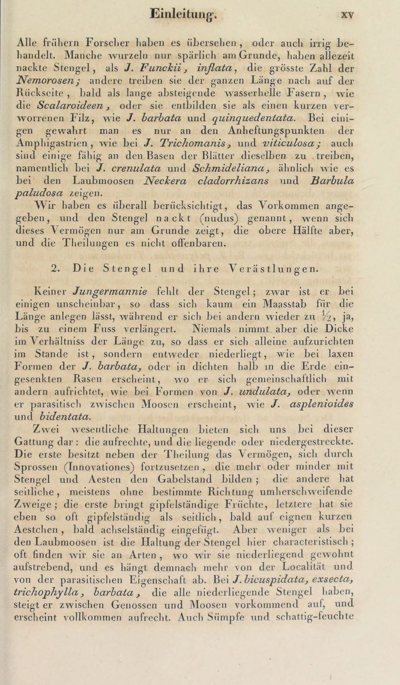 Alle frühem Forscher haben cs übersehen , oder auch irrig be- handelt. Manche wurzeln nur spärlich am Grunde, haben allezeit nackte Stengel, als J. Funckii, inßata, die grösste Zahl der Nemoroseiij andere treiben sie der ganzen Länge nach auf der Rückseite , bald als lange absteigende wasserhelle Fasern , wie die Scalaroicleen, oder sie entbildcn sie als einen kurzen ver- worrenen Filz, wie J. barbata und quinquedentata. Bei eini- gen gewahrt man es nur an den Anheftungspunkten der Amphigastricn , wie bei J. Trichomcinis, und viliculosa; auch sind einige fähig an den Basen der Blätter dieselben zu treiben, namentlich bei J. crenulata und Schmideliana, ähnlich wie es bei den Laubmoosen Necbera cladorrhizans und Barbula paludosa zeigen. Wir haben es überall berücksichtigt, das Vorkommen ange- geben, und den Stengel nackt (nudus) genannt, wenn sich dieses Vermögen nur am Grunde zeigt, die obere Hälfte aber, und die Theilungen es nicht offenbaren. 2. Die Stengel und ihre Verästlungen. Keiner Jungermannie fehlt der Stengel; zwar ist er bei einigen unscheinbar, so dass sich kaum ein Maasstab für die Länge anlegen lässt, während er sich bei andern wieder zu ja> bis zu einem Fuss verlängert. Niemals nimmt aber die Dicke im Verhältniss der Länge zu, so dass er sich alleine aufzurichten im Stande ist , sondern entweder niederliegt, wie bei laxen Formen der J. barbata, oder in dichten halb in die Erde ein- gesenkten Rasen erscheint, wo er sich gemeinschaftlich mit andern aufrichtet, wie bei Formen von J. undulata, oder wenn er parasitisch zwischen Moosen erscheint, wie J. asplenioides und bidentata. Zwei wesentliche Haltungen bieten sich uns bei dieser Gattung dar: die aufrechte, und die liegende oder niedergestreckte. Die erste besitzt neben der Theilung das Vermögen, sich durch Sprossen (Innovationes) fortzusetzen , die mehr oder minder mit Stengel und /Vesten den Gabelstand bilden ; die andere hat seitliche, meistens ohne bestimmte Richtung umherschweifende Zweige; die erste bringt gipfelständige Früchte, letztere hat sie eben so oft gipfelständig als seitlich, bald auf eignen kurzen Aestchen , bald achselständig eingefügt. Aber weniger als bei den Laubmoosen ist die Haltung der Stengel hier characteristisch ; oft finden wir sie an Arten , wo wir sie niederliegend gewohnt aufstrebend, und es hängt demnach mehr von der Localität und von der parasitischen Eigenschaft ab. Bei J.bicuspidata, exsecta, tricliophylla, barbata, die alle niederliegende Stengel haben, steigt er zwischen Genossen und Moosen vorkommend auf, und erscheint vollkommen aufrecht. Auch Sümpfe und schattig-feuchte i