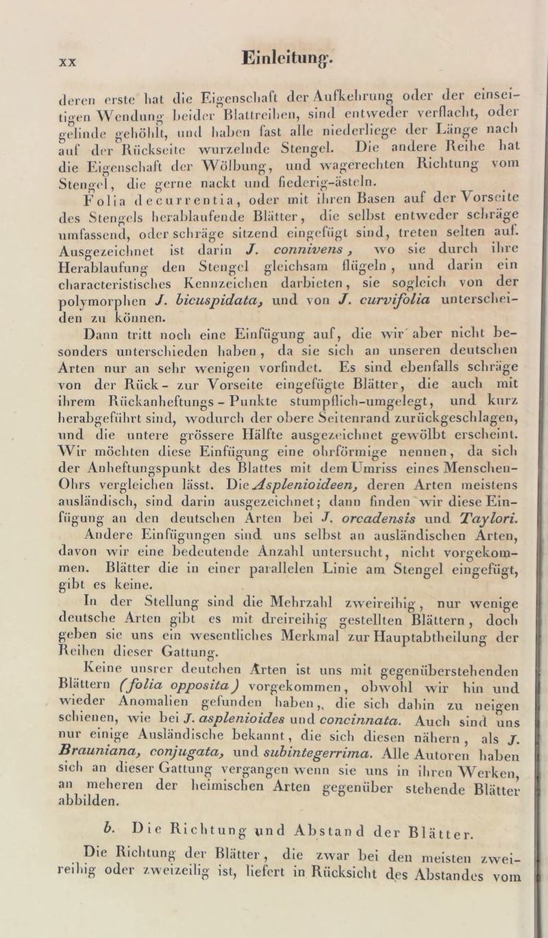 hat die Eigenschaft der Aufkdirung oder der einsei- tigen Wendung deren erste nui uie r.igen»tii«ii r—i beider Blattreihen, sind entweder verflacht, oder ft, und haben fast alle niederliege der Länge nach der Rückseite wurzelnde Stengel. Die andere Reihe hat vom 8' au n' elinde ge hoi und wagerechten die Eigenschalt der Wölbung, gerne nackt und fiederig-ästeJn. Richtung Stengf di ic Ausgezeichnet Herablaufung Folia decurrentia, oder mit ihren Basen auf der Vorseite des Stengels herablaufende Blätter, die selbst entweder schräge umfassend, oder schräge sitzend eingefügt sind, treten selten auf. ist darin J. connivens, wo sie durch ihre den Stengel gleichsam Hügeln , und darin ein characteristisches Kennzeichen darbicten, sie sogleich von der polymorphen J. bicuspidata, und von J. curvifolia unterschei- den zu können. Dann tritt noch eine Einfügung auf, die wir aber nicht be- sonders unterschieden haben , da sie sich an unseren deutschen Arten nur an sehr wenigen vorfindet. Es sind ebenfalls schräge von der Rück- zur Vorseite eingefügte Blätter, die auch mit ihrem Rüclcanheftungs - Punkte stumpflich-umgelegt, und kurz herabgeführt sind, wodurch der obere Seitenrand zurückgeschlagen, und die untere grössere Hälfte ausgezeichnet gewölbt erscheint. Wir möchten diese Einfügung eine ohrförmige nennen, da sich der Anheftungspunkt des Blattes mit dem Umriss eines Menschen- Ohrs vergleichen lässt. DieAsplenioideerij deren Arten meistens ausländisch, sind darin ausgezeichnet; dann finden wir diese Ein- fügung an den deutschen Arten bei J. orcadensis und Taylori. Andere Einfügungen sind uns selbst an ausländischen Arten, da von wir eine bedeutende Anzahl untersucht, nicht vorgekom- men. Blätter die in einer parallelen Linie am Stengel eingefügt, gibt es keine. In der Stellung sind die Mehrzahl zweireihig, nur wenige deutsche Arten gibt es mit dreireihig gestellten Blättern , doch geben sie uns ein wesentliches Merkmal zur Hauptabtheilung der Reihen dieser Gattung. Keine unsrer deutelten Arten ist uns mit gegenüberstellenden Blättern (folia opposita) vorgekommen, obwohl wir hin und haben,, die sich dahin zu neigen wieder Anomalien gefunden schienen, wie bei J. asplenioides und concinnata. Auch sind uns nur einige Ausländische bekannt, die sich diesen nähern, als J. Brauniana, conjiigata^ und siibintcgervuna. Alle Autoren haben sich an dieser Gattung vergangen wenn sie uns in ihren Werken an melieren der heimischen Arten gegenüber stehende Blätter abbilden. b. Die Richtung und Abstand der Blätter. Die Richtung der Blätter, die zwar bei den meisten zwei- re.lug oder zweizeilig ist, liefert in Rücksicht des Abstandes vom