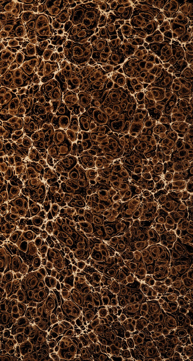 digitised image 2