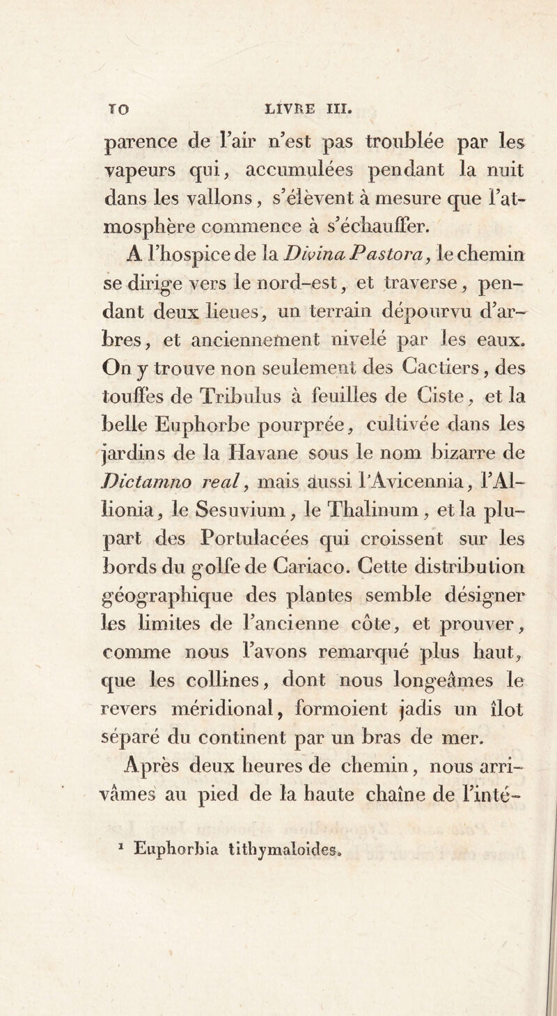 TO LIVRE III. parence de l’air n’est pas troublée par les vapeurs qui, accumulées pendant la nuit dans les vallons, s’élèvent à mesure que l’at- mosphère commence à s’échauffer. Â l’hospice de la Divinci Pastora, le chemin se dirige vers le nord-est, et traverse, pen- dant deux lieues, un terrain dépourvu d’ar- bres, et anciennement nivelé par les eaux. On y trouve non seulement des Cactiers, des touffes de Tribulus à feuilles de Ciste, et la belle Euphorbe pourprée, cultivée dans les jardins de la Havane sous le nom bizarre de Dictamno real, mais aussi TAvicennia, TA1- lionia, le Sesuvium, le Thalinum, et la plu- part des Fortulacées qui croissent sur les bords du golfe de Cariaco. Cette distribution géographique des plantes semble désigner les limites de l’ancienne côte, et prouver, comme nous l’avons remarqué plus haut, que les collines, dont nous longeâmes le revers méridional, formoient jadis un îlot séparé du continent par un bras de mer. Après deux heures de chemin, nous arri- vâmes au pied de la haute chaîne de Tinté-