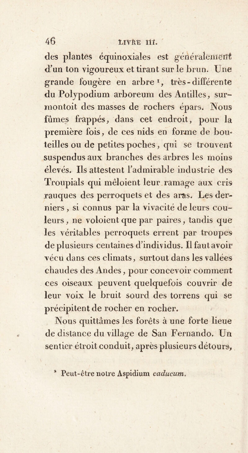 des plantes équinoxiales est généralement d'un ton vigoureux et tirant sur le brun. Une grande fougère en arbre1, très-différente du Poljpodium arboreum des Antilles, sur- montait des masses de rochers épars* Nous fûmes frappés, dans cet endroit, pour la première fois, de ces nids en forme de bou- teilles ou de petites poches, qui se trouvent suspendus aux branches des arbres les moins élevés* Ils attestent l'admirable industrie des Troupials qui mêloient leur ramage aux cris rauques des perroquets et des aras. Les der- niers , si connus par la vivacité de leurs cou- leurs , ne voloient que par paires, tandis que les véritables perroquets errent par troupes de plusieurs centaines d'individus. Il faut avoir vécu dans ces climats, surtout dans les vallées chaudes des Andes, pour concevoir comment ces oiseaux peuvent quelquefois couvrir de leur voix le bruit sourd des torrens qui se précipitent de rocher en rocher. Nous quittâmes les forêts à une forte lieue de distance du village de San Fernando. Un sentier étroit conduit, après plusieurs détours, 9 Peut-être notre Aspidium caducum,