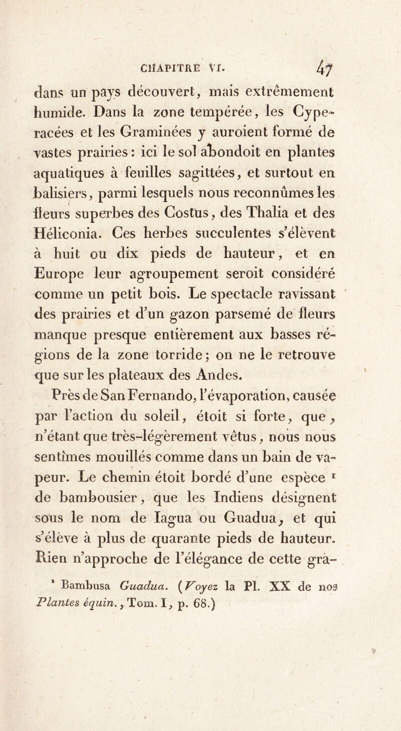 dans un pays découvert, mais extrêmement humide. Dans la zone tempérée, les Cype- racées et les Graminées y auroient formé de vastes prairies : ici le sol abondoit en plantes aquatiques à feuilles sagittées, et surtout en balisiers, parmi lesquels nous reconnûmes les fleurs superbes des Costüs, des Thalia et des Héliconia. Ces herbes succulentes s’élèvent à huit ou dix pieds de hauteur, et en Europe leur agroupement seroit considéré comme un petit bois. Le spectacle ravissant des prairies et d’un gazon parsemé de fleurs manque presque entièrement aux basses ré- gions de la zone torride ; on ne le retrouve que sur les plateaux des Andes. Près de San Fernando, l’évaporation, causée par l’action du soleil, étoit si forte, que , n’étant que très-légèrement vêtus, nous nous sentîmes mouillés comme dans un bain de va- peur. Le chemin étoit bordé d’une espèce 1 de bambousier, que les Indiens désignent sous le nom de Xagua ou Guadua, et qui s’élève à plus de quarante pieds de hauteur. Rien n’approche de l’élégance de cette grà- Bambusa Guaclua. ( Voyez la PL XX de nos Plantes équin. , Tom. I, p. 68.)