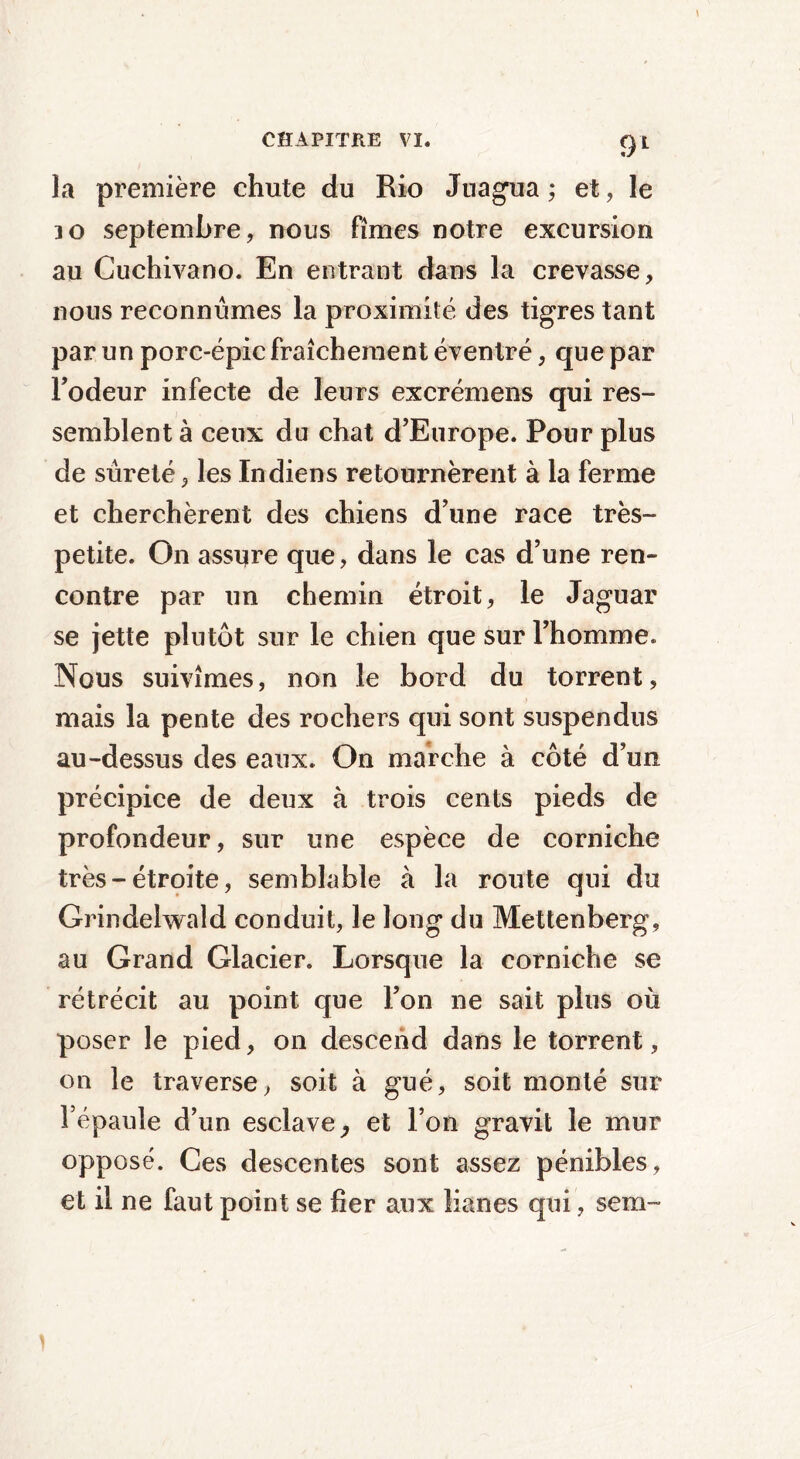 la première chute du Rio Juagua; et, le io septembre, nous fîmes notre excursion au Cuchivano. En entrant dans la crevasse, nous reconnûmes la proximité des tigres tant par un porc-épic fraîchement éventré, que par Fodeur infecte de leurs excrémens qui res- semblent à ceux du chat d’Europe. Pour plus de sûreté, les Indiens retournèrent à la ferme et cherchèrent des chiens d’une race très- petite. On assure que, dans le cas d’une ren- contre par un chemin étroit, le Jaguar se jette plutôt sur le chien que sur l’homme. Nous suivîmes, non le bord du torrent, mais la pente des rochers qui sont suspendus au-dessus des eaux. On marche à côté d’un précipice de deux à trois cents pieds de profondeur, sur une espèce de corniche très - étroite, semblable à la route qui du Grindelwald conduit, le long du Mettenberg, au Grand Glacier. Lorsque la corniche se rétrécit au point que l’on ne sait plus où poser le pied, on descend dans le torrent, on le traverse, soit à gué, soit monté sur l’épaule d’un esclave, et l’on gravit le mur opposé. Ces descentes sont assez pénibles, et il ne faut point se fier aux lianes qui, sem-