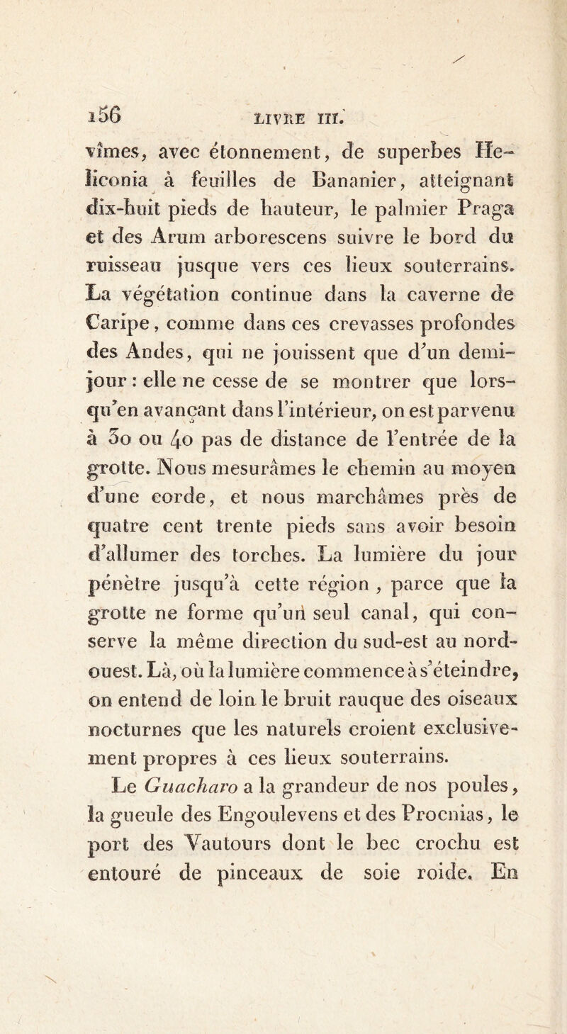 LIVÎIE lîï. vîmes, avec étonnement, de superbes He- îiconia à feuilles de Bananier, atteignant dix-huit pieds de hauteur, le palmier Praga et des Arum arborescens suivre le bord du ruisseau jusque vers ces lieux souterrains. La végétation continue dans la caverne de Caripe, comme dans ces crevasses profondes des Andes, qui ne jouissent que d’un demi- jour : elle ne cesse de se montrer que lors- qu’en avançant dans l’intérieur, on est parvenu à 5o ou 4o pas de distance de l’entrée de la grotte. Nous mesurâmes le chemin au moyen d’une eorde, et nous marchâmes près de quatre cent trente pieds sans avoir besoin d’alîurner des torches. La lumière du jour pénètre jusqu’à cette région , parce que la grotte ne forme qu’uri seul canal, qui con- serve la même direction du sud-est au nord- ouest. Là, où la lumière commence à s’éteindre, on entend de loin le bruit rauque des oiseaux nocturnes que les naturels croient exclusive- ment propres à ces lieux souterrains. Le Guacharo a la grandeur de nos poules, la gueule des Engoulevens et des Frocnias, le port des Vautours dont le bec crochu est entouré de pinceaux de soie roide. En