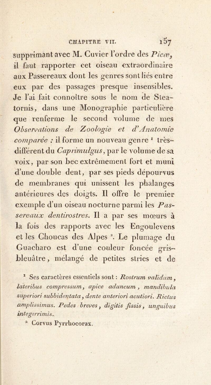 supprimant avec M. Cuvier l’ordre des Picæ9 il faut rapporter cet oiseau extraordinaire aux Passereaux dont les genres sont liés entre eux par des passages presque insensibles. Je Fai fait connoître sous le nom de 8iea~ tornis, dans une Monographie particulière que renferme le second volume de nies Observations de Zoologie et d’Anatomie comparée : il forme un nouveau genre 1 très^ différent du Caprimulgus, par le volume de sa voix, par son bec extrêmement fort et muni aune double dent, par ses pieds dépourvus de membranes qui unissent les phalanges antérieures des doigts. Il offre le premier exemple d’un oiseau nocturne parmi les Pas- sereaux dentirostres. Il a par ses mœurs à la fois des rapports avec les Engoulevens et les Choucas des Alpes \ Le plumage du Guacharo est d’une couleur foncée gris- bleuâtre , mélangé de petites stries et de 1 Ses caractères essentiels sont : Rostrum validum, lateribus compressum, apice aduncum , mandibula superiori subbi dent ata, dente anteriori acutiori. Rictus amplissinius. Pedes brèves , digitis fissis, unguibus in tege rrimis. a Corvus PyrrliocoraXo