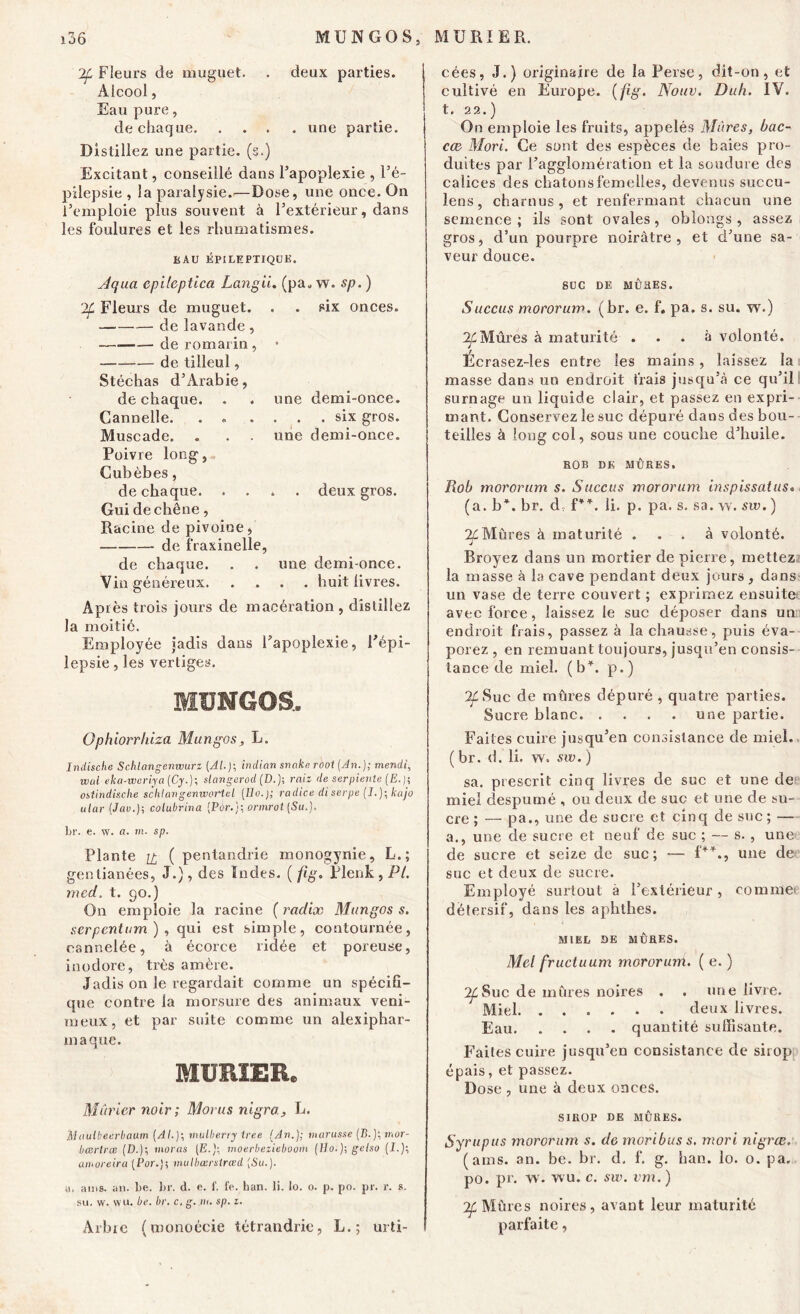 2f Fleurs de muguet. . deux parties. Alcool, Eau pure, de chaque une partie. Di stillez une partie, (s.) Excitant, conseillé dans l’apoplexie , l’é- pilepsie , la paralysie.—Dose, une once. On l’emploie plus souvent à l’extérieur, dans les foulures et les rhumatismes. EAU ÉPILEPTIQUE. Jqua cpUcptica Langii. (pa„ w. sp. ) 2f Fleurs de muguet. . . six onces. de lavande, de romarin , * de tilleul, Stéchas d’Arabie, de chaque. Cannelle. Muscade. Poivre long, Cubèbes, de chaque. Gui de chêne, Racine de pivoine, de fraxinelle, de chaque. Vin généreux. Après trois jours de macération , distillez une demi-once. . six gros, une demi-once. deux gros. une demi-once. . . huit livres. la moitié. Employée jadis dans l'apoplexie, Fépi- lepsie, les vertiges. MÏÏNGOS.. Ophiorrhiza Mungos, L. Indische Schlangenwurz (Al.)-, indian snake root (An.); mendi, wal eka-weriya (Cy.); slangerod (D.); raiz de serpiente (E.)-, o&tindische schlangemvorteL (llo.); radice di serpe (I.); kajo ular (,Jav.); colubrina (Pôr.); ormrot (Su.). br. e. w. a. m. sp. Plante n ( pentandrie monogynie, L.; gentianées, J.), des ïndes. (fig. Plenk, PL mcd. t. go.) On emploie la racine ( radix Mungos s. serpentum ) , qui est simple, contournée, cannelée, à écorce ridée et poreuse, inodore, très amère. Jadis on le regardait comme un spécifi- que contre la morsure des animaux veni- meux, et par suite comme un alexiphar- maque. MURIER* Mûrier noir ; Morus nigra, L. Moulbeerbaum (AL); mulberry iree (An.); niarusse (B.); tiwr- bœrtrœ (D.); moras (E.); moerbeiieboom (Ho.); gelso (I.); amoreira (Pormulbœrstrœd (Su.). d. ain6. an. be. br. d. e. f. fe. han. li. lo. o. p. po. pr. r. s. su. w. wu. be. br. c, g. ni. sp. i. Arbre (monoécie tétrandrie, L.; urti- cées, J.) originaire de la Perse, dit-on, et cultivé en Europe, (fig. Nouv. Duh. IV. t. 2 2.) On emploie les fruits, appelés Mûres, bac- cœ Mori. Ce sont des espèces de baies pro- duites par l’agglomération et la soudure des calices des chatons femelles, devenus succu- lens, charnus, et renfermant chacun une semence ; ils sont ovales , oblongs , assez gros, d’un pourpre noirâtre, et d’une sa- veur douce. SUC DE MÛRES. S accus mororum. (br. e. f. pa. s. su. w.) 2f Mûres à maturité ... à volonté. Ecrasez-les entre Ses mains, laissez la masse dans un endroit frais jusqu’à ce qu’il surnage un liquide clair, et passez en expri- mant. Conservez le suc dépuré dans des bou- teilles à long col, sous une couche d’huile. ROB DK MÛRES. Rob mororum s. Succus mororum inspissatus. (a. b*, br. dv f**. li. p. pa. s. sa. w. sw. ) 7f Mûres à maturité ... à volonté. Broyez dans un mortier de pierre, mettez la masse à la cave pendant deux jours , dans un vase de terre couvert ; exprimez ensuite avec force, laissez le suc déposer dans un endroit frais, passez à la chausse, puis éva- porez , en remuant toujours, jusqu’en consis- tance de miel. (b*, p.) 2f Suc de mûres dépuré , quatre parties. Sucre blanc une partie. Faites cuire jusqu’en consistance de miel. ( br. d. li. w. sw. ) sa. prescrit cinq livres de suc et une de miel despurné , ou deux de suc et une de su- cre ; — pa., une de sucre et cinq de suc ; — a., une de sucre et neuf de suc ; — s. , une de sucre et seize de suc; — f**., une de suc et deux de sucre. Employé surtout à l’extérieur, comme détersif, dans les aphthes. miel se mûres. Mel fructuum mororum. ( e. ) 2fSuc de mûres noires . . une livre. Miel deux livres. Eau quantité suffisante. Faites cuire jusqu’en consistance de sirop épais, et passez. Dose , une à deux onces. SIROP DE MÛRES. Syrupus mororum s. de moribuss. mori nigrœ. (ams. an. be. br. d, f. g. han. lo. o. pa, po. pr. w. wu. c. sw. vm. ) 2f Mûres noires, avant leur maturité parfaite,