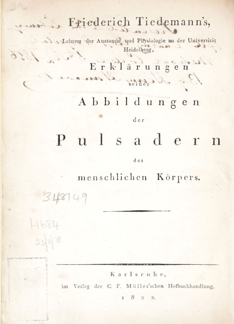 , ,, Ff i ede rieh Tiedmanns, % Lehrerg -der Anatoijiie^ und Physiologie an der Universität Heidelberg, * , V ^ ' J V V \ <> • * , V \ . V * 1 ‘ ] .. * * ' * *• * 4 x Ij v k* larungen X K * • V-V* V -» »'.4 4 % J , seiner C ' \ A b bildungen e r P 11 1 S a d e r n des menschlichen Körper s. '<? I |Q'' j ( ' //r * K a r 1 s r u b e, im Verlag der C. F. M ii 11 e r’schen Hofbuchhandlung, 1822. « *