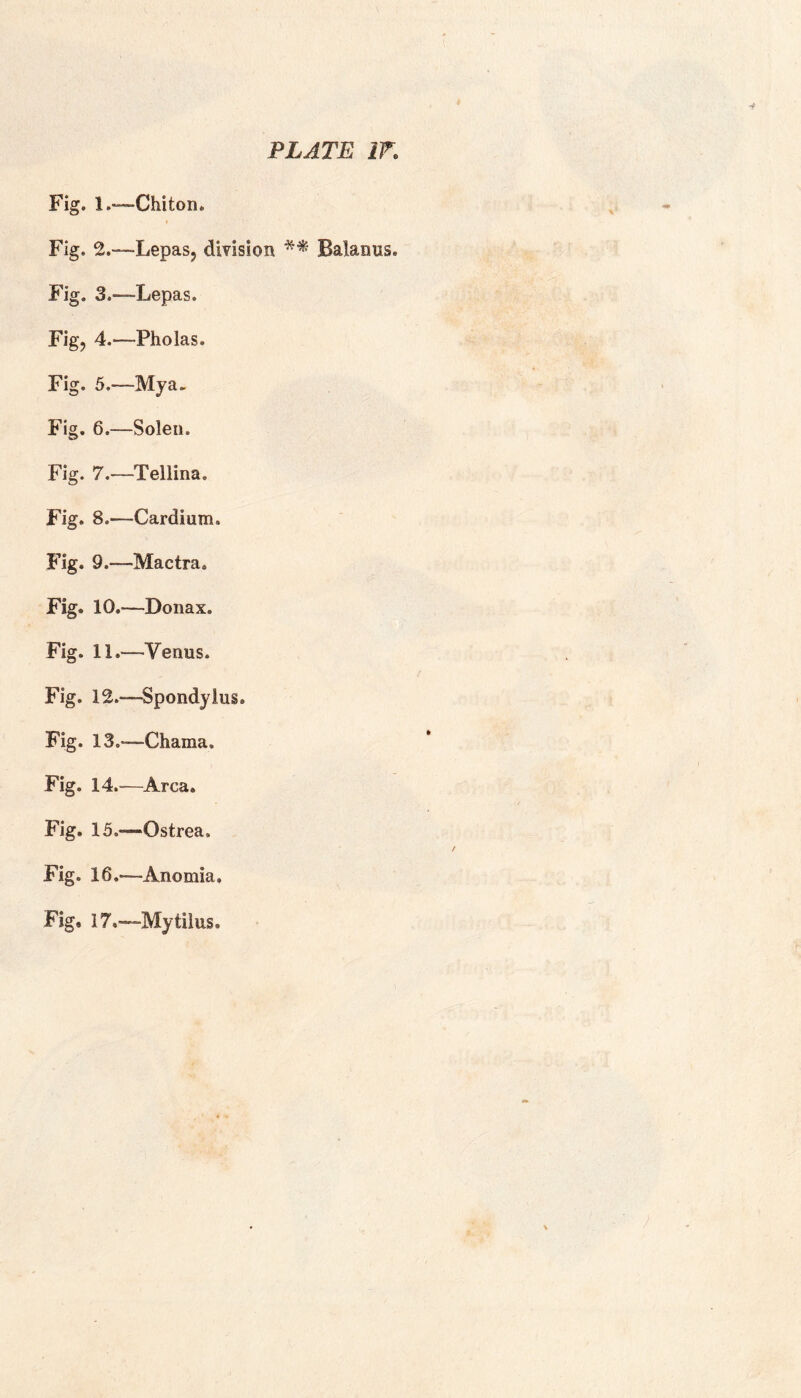 Fig. 1.—Chiton. Fig. 2.—Lepas, division ** Balanus. Fig. 3.—Lepas. Fig, 4.—Pholas. Fig. 5.—My a .. Fig. 6,—Solen. Fig. 7.—Tellina. Fig. 8.—Cardium. Fig. 9.—Mactra. Fig. 10.—Donax. Fig. 11.—Venus. Fig. 12.—Spondylus. Fig. 13.—Chama. Fig. 14.—Area. Fig. 15.-—Ostrea. Fig. 16.—Anomia. Fig, 17.—Mytilus.