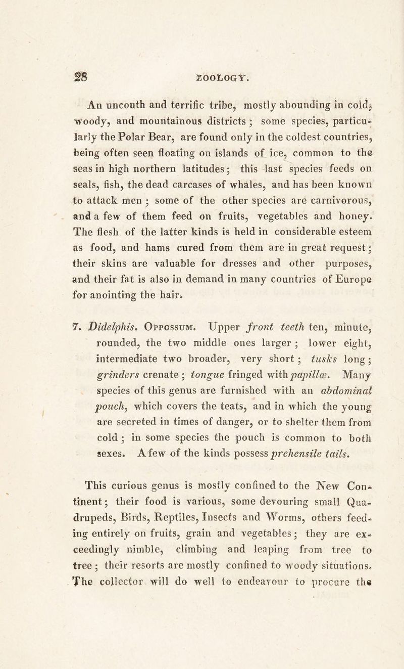 An uncouth and terrific tribe, mostly abounding in cold$ woody, and mountainous districts ; some species, particu- larly the Polar Bear, are found only in the coldest countries, being often seen floating on islands of ice, common to the seas in high northern latitudes; this last species feeds on seals, fish, the dead carcases of whales, and has been known to attack men ; some of the other species are carnivorous, and a few of them feed on fruits, vegetables and honey. The flesh of the latter kinds is held in considerable esteem as food, and hams cured from them are in great request; their skins are valuable for dresses and other purposes, and their fat is also in demand in many countries of Europe for anointing the hair, 7. Didelphis, Oppossum. Upper front teeth ten, minute, rounded, the two middle ones larger ; lower eight, intermediate two broader, very short ; tusks long; grinders crenate ; tongue fringed with papillae. Many species of this genus are furnished with an abdominal pouch, which covers the teats, and in which the young are secreted in times of danger, or to shelter them from cold ; in some species the pouch is common to both sexes. A few of the kinds possess prehensile tails. This curious genus is mostly confined to the New Con- tinent; their food is various, some devouring small Qua- drupeds, Birds, Reptiles, Insects and Worms, others feed- ing entirely on fruits, grain and vegetables; they are ex- ceedingly nimble, climbing and leaping from tree to tree ; their resorts are mostly confined to woody situations. The collector will do well to endeavour to procure th«