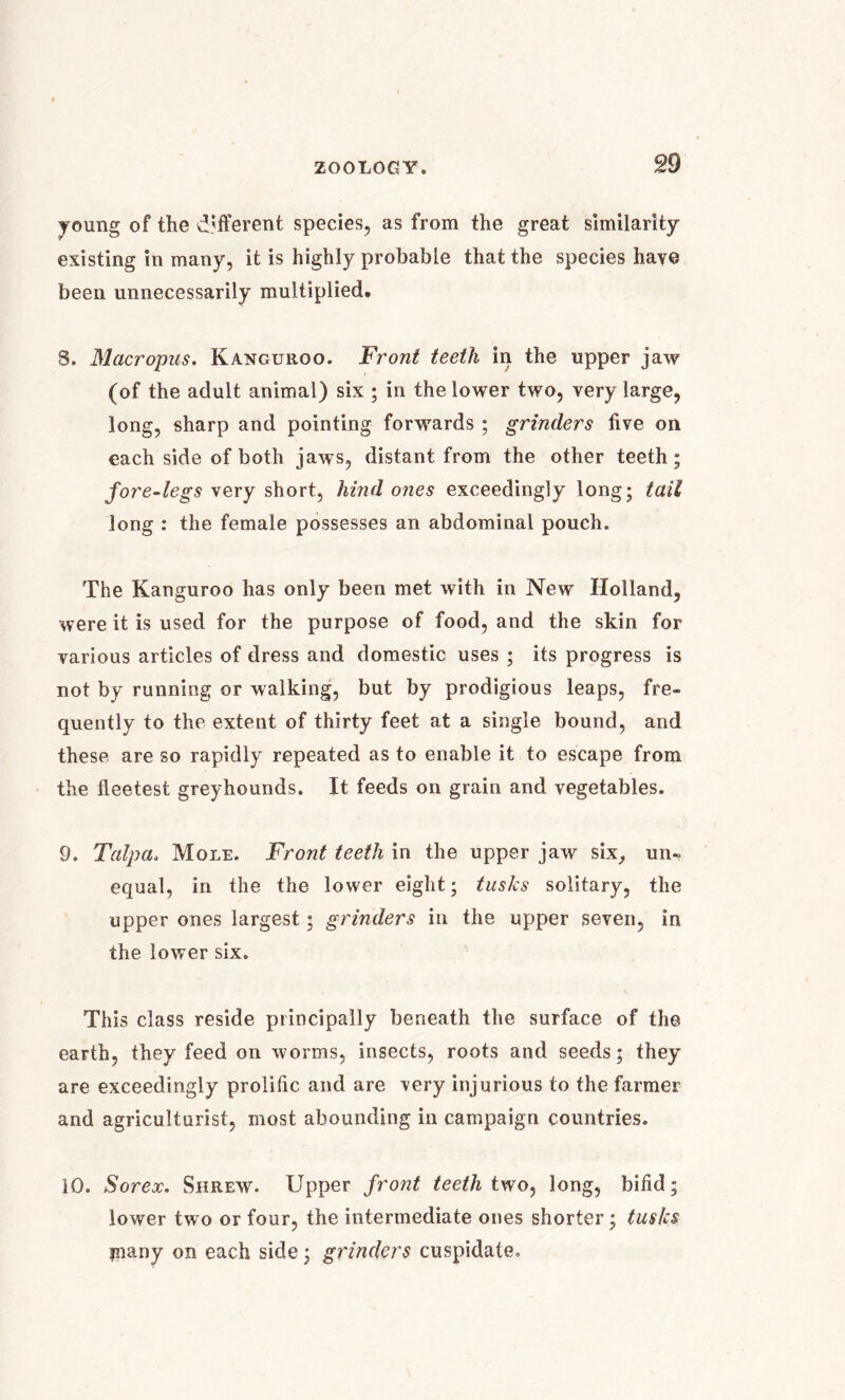 young of the different species, as from the great similarity existing in many, it is highly probable that the species have been unnecessarily multiplied. 8. Macropus. Kanguroo. Front teeth in the upper jaw (of the adult animal) six ; in the lower two, very large, long, sharp and pointing forwards ; grinders five on each side of both jaws, distant from the other teeth; fore-legs very short, hind ones exceedingly long; tail long : the female possesses an abdominal pouch. The Kanguroo has only been met with in New Holland, were it is used for the purpose of food, and the skin for various articles of dress and domestic uses ; its progress is not by running or walking, but by prodigious leaps, fre- quently to the extent of thirty feet at a single bound, and these are so rapidly repeated as to enable it to escape from the fleetest greyhounds. It feeds on grain and vegetables. 9. Talpa. Mole. Front teeth in the upper jaw six, un- equal, in the the lower eight; tusks solitary, the upper ones largest; grinders in the upper seven, in the lower six. This class reside principally beneath the surface of the earth, they feed on worms, insects, roots and seeds; they are exceedingly prolific and are very injurious to the farmer and agriculturist, most abounding in campaign countries. 10. Sorex. Shrew. Upper front teeth two, long, bifid; lower two or four, the intermediate ones shorter; tusks many on each side; grinders cuspidate.