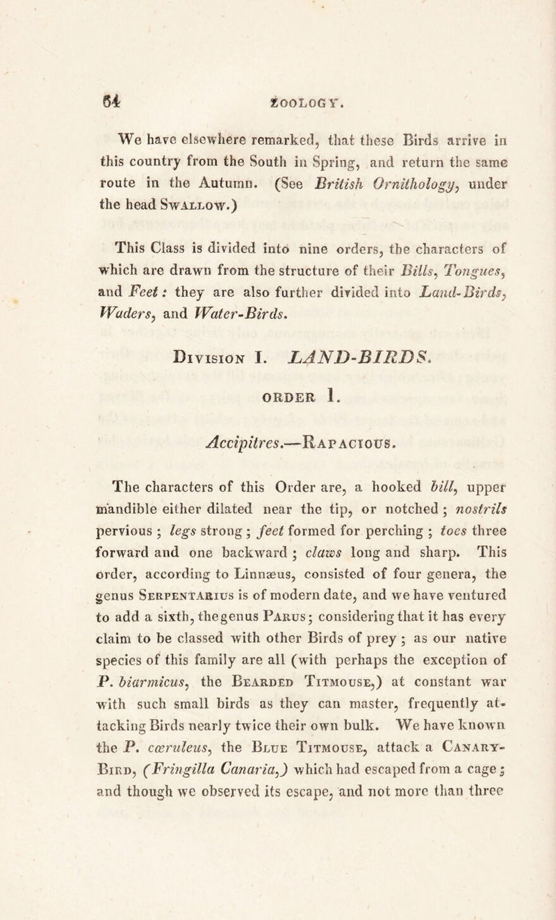 We have elsewhere remarked, that these Birds arrive in this country from the South in Spring, and return the same route in the Autumn. (See British Ornithology, under the head Sw allow.) This Class is divided into nine orders, the characters of which are drawn from the structure of their Bills, Tongues, and Feet: they are also further divided into Land-Birds, Waders, and Water-Birds. Division I. LAND-BIRDS. ORDER 1. Accipitres.—Rapacious. The characters of this Order are, a hooked bill, upper mandible either dilated near the tip, or notched ; nostrils pervious ; legs strong ; feet formed for perching ; toes three forward and one backward ; claws long and sharp. This order, according to Linnasus, consisted of four genera, the genus Serfentarius is of modern date, and we have ventured to add a sixth, thegenus Pakus; considering that it has every claim to be classed with other Birds of prey; as our native species of this family are all (with perhaps the exception of P. biarmicus, the Bearded Titmouse,) at constant war with such small birds as they can master, frequently at- tacking Birds nearly twice their own bulk. We have known the P. cceruleus, the Blue Titmouse, attack a Canary- Bird, (Fringilla Canaria,J which had escaped from a cage; and though wTe observed its escape, and not more than three