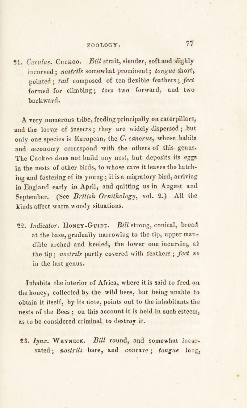 *1. Cuculus. Cuckoo. Bill strait, slender, soft and slighly incurved ; nostrils somewhat prominent; tongue short, pointed; tail composed of ten flexible feathers; feet formed for climbing; toes two forward, and two backward. A very numerous tribe, feeding principally on caterpillars, and the larvae of insects ; they are widely dispersed; but only one species is European, the C. canorus, whose habits and ceconomy correspond with the others of this genus. The Cuckoo does not build any nest, but deposits its eggs in the nests of other birds, to whose care it leaves the hatch- ing and fostering of its young ; it is a migratory bird, arriving in England early in April, and quitting us in August and September. (See British Ornithology, vol. 2.) All the kinds affect warm woody situations. $*2. Indicator. Honey-Guide. Bill strong, conical, broad at the base, gradually narrowing to the tip, upper man- dible arched and keeled, the lower one incurving at the tip; nostrils partly covered with feathers ; feet as in the last genus. Inhabits the interior of Africa, where it is said to feed on the honey, collected bv the wild bees, but being unable to obtain it itself, by its note, points out to the inhabitants the nests of the Bees; on this account it is held in such esteem, as to be considered criminal to destroy it. S3. lynx. Wryneck. Bill round, and somewhat incur- vated; nostrils bare, and concave; tongue long,,