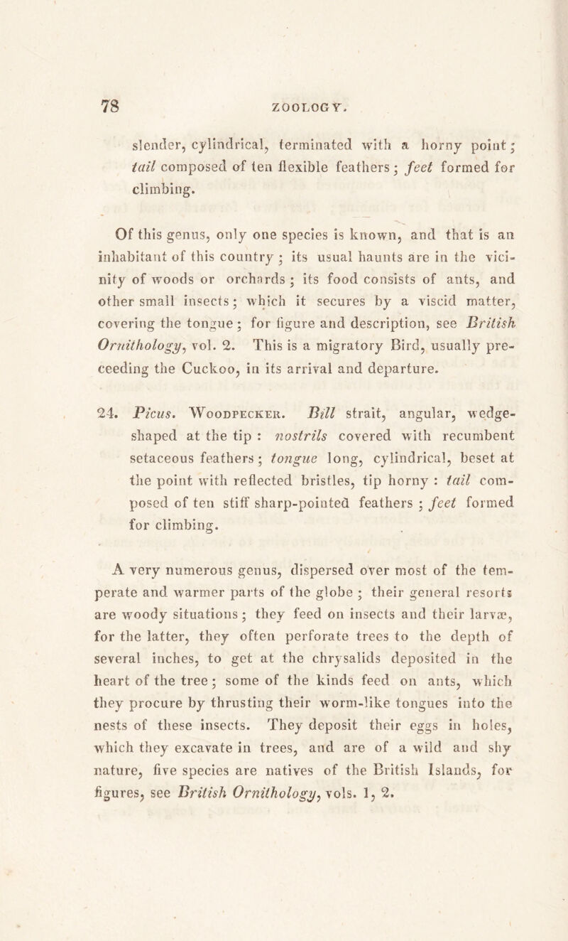 slender, cylindrical, terminated with a horny point; tail composed of ten flexible feathers; feet formed for climbing. Of this genus, only one species is known, and that is an inhabitant of this country ; its usual haunts are in the vici- nity of woods or orchnrds ; its food consists of ants, and other small insects; which it secures by a viscid matter, covering the tongue; for figure and description, see British Ornithology, vol. 2. This is a migratory Bird, usually pro- ceeding the Cuckoo, in its arrival and departure. 24. Picus. Woodpecker. Bill strait, angular, wedge- shaped at the tip : nostrils covered with recumbent setaceous feathers ; tongue long, cylindrical, beset at the point with reflected bristles, tip horny : tail com- posed of ten stiff sharp-pointed feathers ; feet formed for climbing. A very numerous genus, dispersed over most of the tem- perate and warmer parts of the globe ; their general resorts are woody situations; they feed on insects and their larvas, for the latter, they often perforate trees to the depth of several inches, to get at the chrysalids deposited in the heart of the tree; some of the kinds feed on ants, which they procure by thrusting their worm-like tongues into the nests of these insects. They deposit their eggs in holes, which they excavate in trees, and are of a wild and shy nature, five species are natives of the British Islands, for figures, see British Ornithology^ols. 1, 2.