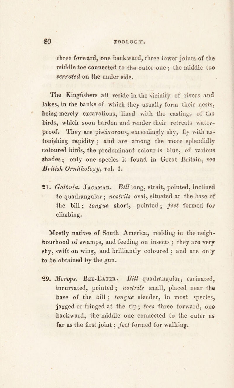 three forward, one backward, three lower joints of the middle toe connected to the outer one ; the middle toe serrated on the under side. The Kingfishers all reside in the vicinity of rivers and lakes, in the banks of which they usually form their nests, being merely excavations, lined with the castings of the birds, which soon harden and render their retreats w ater- proof. They are piscivorous, exceedingly shy, lly with as- tonishing rapidity ; and are among the more splendidly coloured birds, the predominant colour is blue, of various shades; only one species is found in Great Britain, see jBritish Ornithology, vol. 1. 21. Galbula. Jacamar. Bill[ox\gy strait, pointed, inclined to quadrangular; nostrils oval, situated at the base of the bill; tongue short, pointed; feet formed for climbing. Mostly natives of South America, residing in the neigh- bourhood of swamps, and feeding on insects ; they are very shy, swift on wing, and brilliantly coloured * and are only to be obtained by the gun. 29. Merops. Bee-Eater. Bill quadrangular, carinatcd, incurvated, pointed ; nostrils small, placed near the base of the bill; tongue slender, in most species, jagged or fringed at the tip; toes three forward, one backward, the middle one connected to the outer as far as the first joint; feet formed for walking.