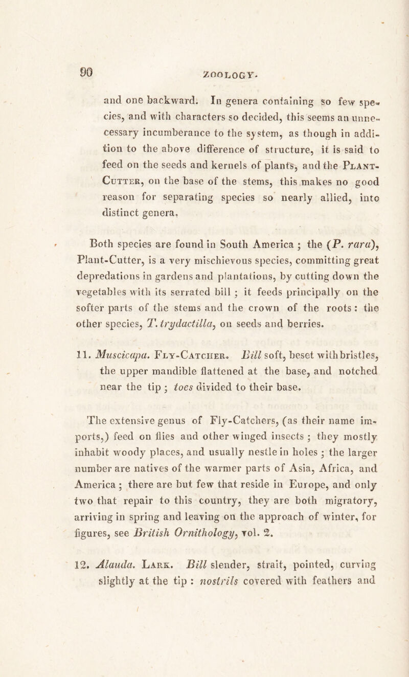 and one backward. In genera containing so few spe» cies, and with characters so decided, this seems an unne» cessary incumberance to the system, as though in addi- tion to the above difference of structure, it is said to feed on the seeds and kernels of plants, and the Plant- Cutter, on the base of the stems, this makes no good reason for separating species so nearly allied, into distinct genera. Both species are found in South America ; the (P. r«r«), Plant-Cutter, is a very mischievous species, committing great depredations in gardens and plantations, by cutting down the vegetables with its serrated bill ; it feeds principally on the softer parts of the stems and the crown of the roots : the other species, T. trydactilla, on seeds and berries. 11. Muscicapa. Fly-Catcher. Bill soft, beset with bristles, the upper mandible flattened at the base, and notched near the tip • toes divided to their base. The extensive genus of Fly-Catchers, (as their name im- ports,) feed on flies and other winged insects ; they mostly inhabit woody places, and usually nestle in holes ; the larger number are natives of the warmer parts of Asia, Africa, and America ; there are but few that reside in Europe, and only two that repair to this country, they are both migratory, arriving in spring and leaving on the approach of winter, for figures, see British Ornithology, vol. 2. 12. Alauda. Lark. Bill slender, strait, pointed, curving slightly at the tip : nostrils covered with feathers and i