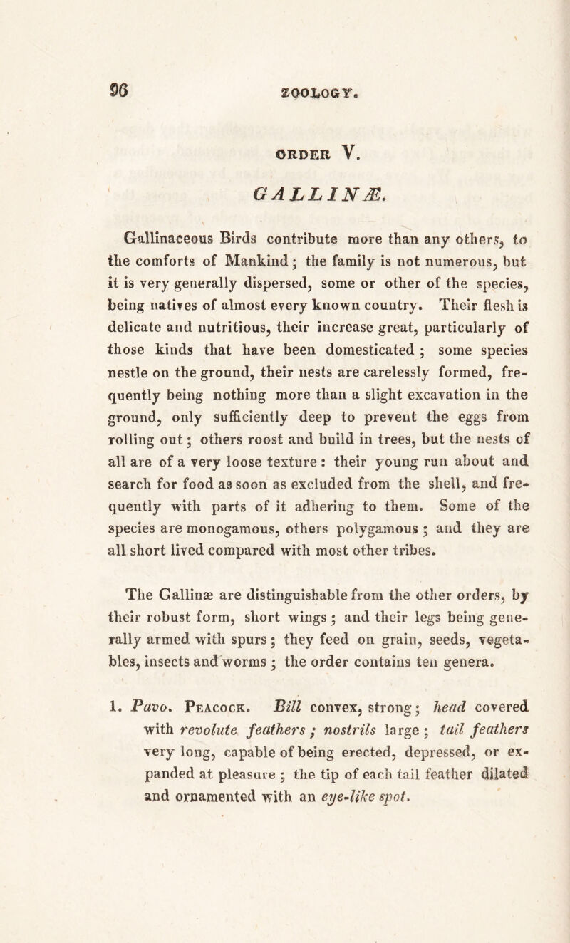 ORDER V. GALLING. Gallinaceous Birds contribute more than any others, to the comforts of Mankind; the family is not numerous, but it is very generally dispersed, some or other of the species, being natives of almost every known country. Their flesh is delicate and nutritious, their increase great, particularly of those kinds that have been domesticated ; some species nestle on the ground, their nests are carelessly formed, fre- quently being nothing more than a slight excavation in the ground, only sufficiently deep to prevent the eggs from rolling out; others roost and build in trees, but the nests of all are of a very loose texture : their young run about and search for food as soon as excluded from the shell, and fre- quently with parts of it adhering to them. Some of the species are monogamous, others polygamous ; and they are all short lived compared with most other tribes. The Gallinm are distinguishable from the other orders, by their robust form, short wings; and their legs being gene- rally armed with spurs; they feed on grain, seeds, vegeta- bles, insects and worms • the order contains ten genera. 1. Pavo. Peacock. Bill convex, strong ; head covered with revolute feathers ; nostrils la rge ; tail feathers very long, capable of being erected, depressed, or ex- panded at pleasure ; the tip of each tail feather dilated and ornamented with an eye-like spot.